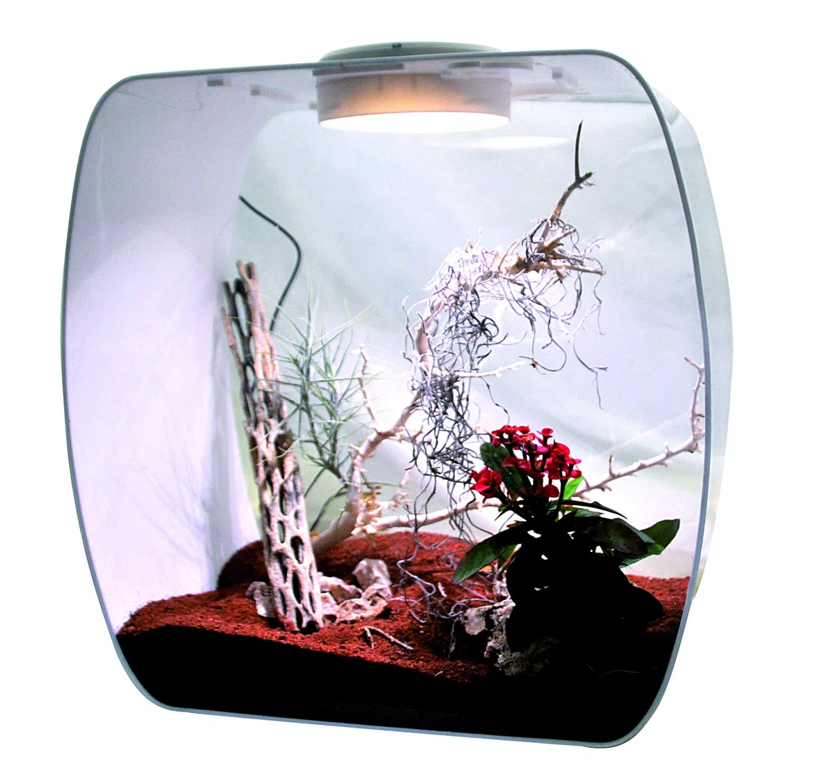 Life Experience Kit déco pour Petits terrariums Nano