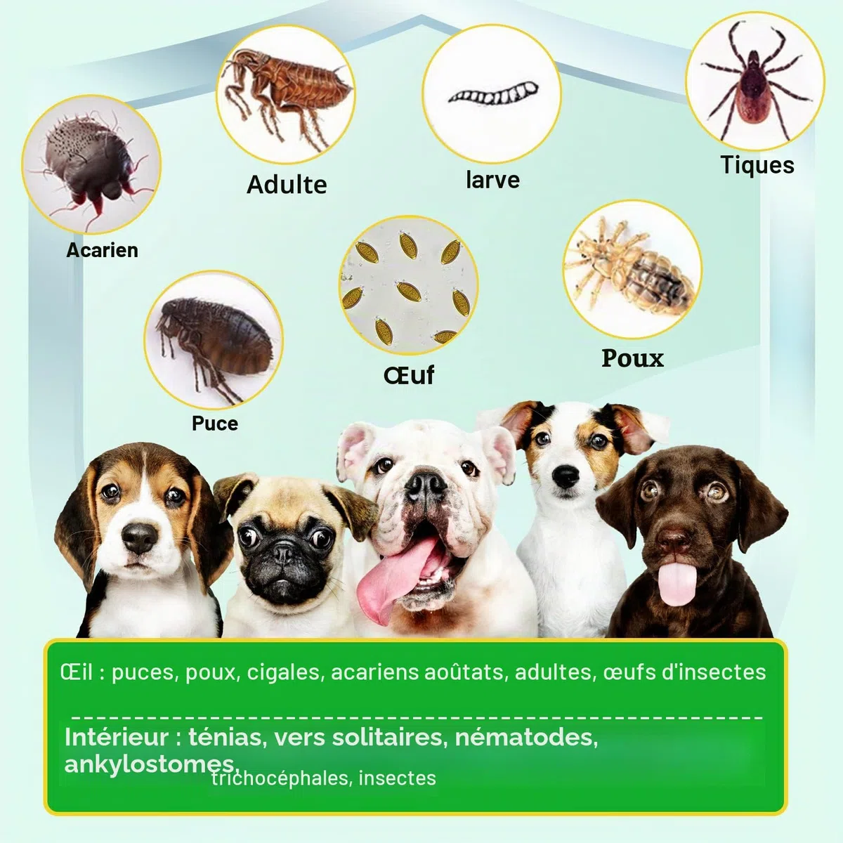 Chips Et Tick Prevention Chews Pour Chiens, 150 Pcs Chiens Flea & Tick Control Supplément - Pilules souples Orales Puces Pour Chiens - Traitement Pour Petits Chiens, Moyens, Grande Taille