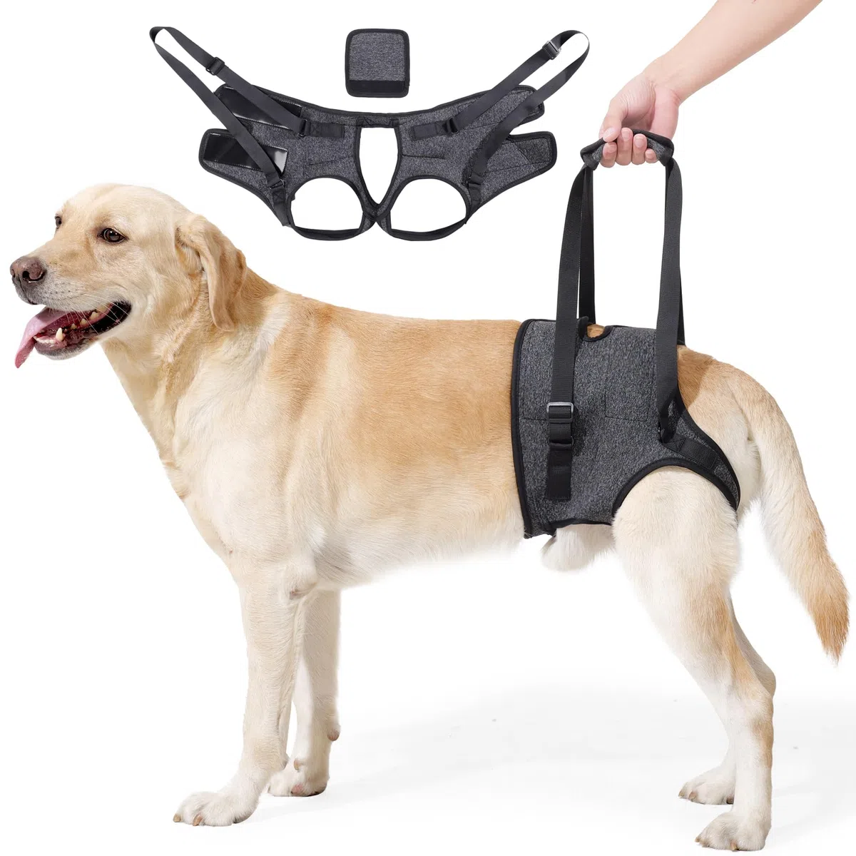 Harnais Soutien Arrière Réglable pour Chien - Aide à la Mobilité avec Poignée - pour Chien Handicapé, Blessé, Âgé - Toutes Tailles (P/M/G) (Gris foncé, XL)