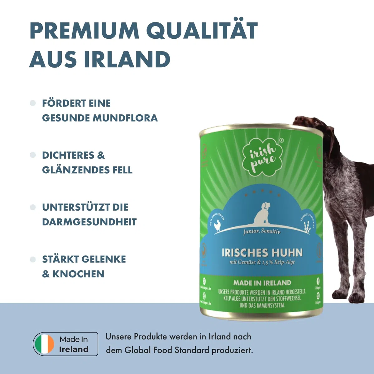 Irish Pure Premium Junior Nourriture Humide pour Chiens | 6 x 390 g | Poulet Irlandais | Vitamines | sans céréales | Sensitive | avec Superfood Kelp Algue | Nourriture Humide pour Toutes Les Races