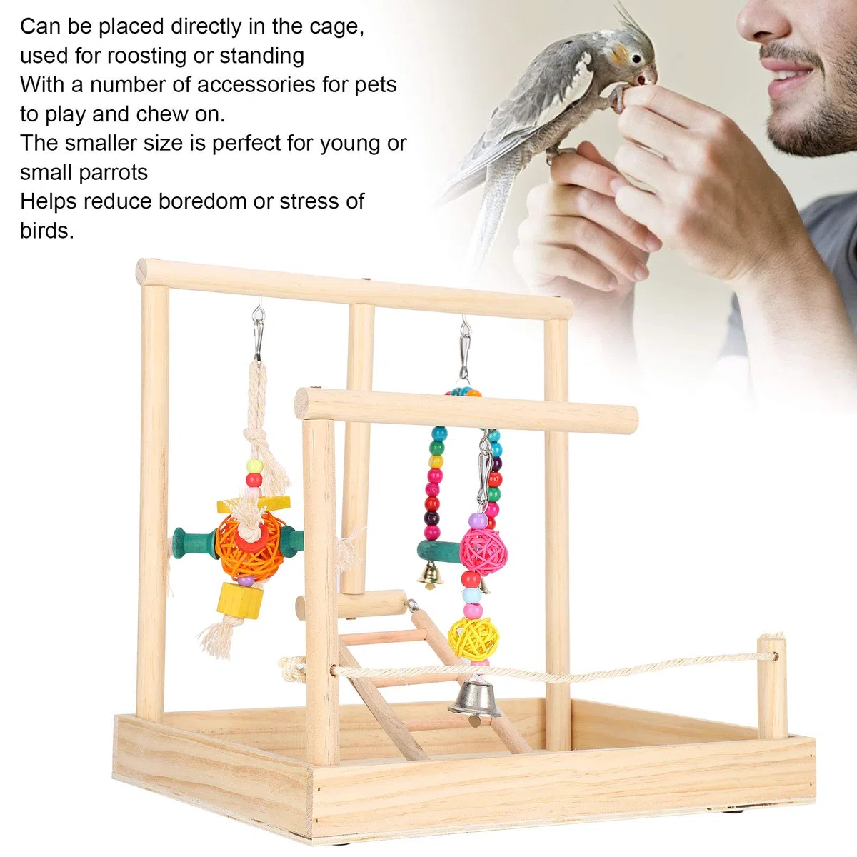Aire de Jeux pour perroquets – Support en Bois Massif pour Oiseaux – avec Un Design de Cloche de Base – Couleurs Vives – Support de perchoir pour Cage à Oiseaux, Fournitures