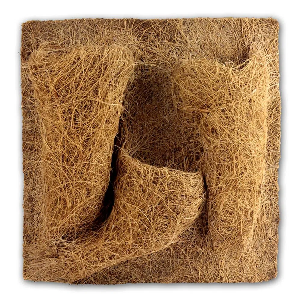 Reptiles Planet - Planting Background - Décor en Fibre de Coco pour Terrarium - 30 x 30 cm