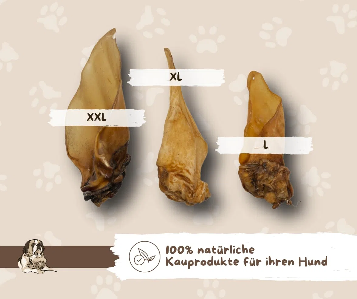'bovins oreilles avec coquillage – Dans XXL – de warnick S Aliments Pour Animaux Service