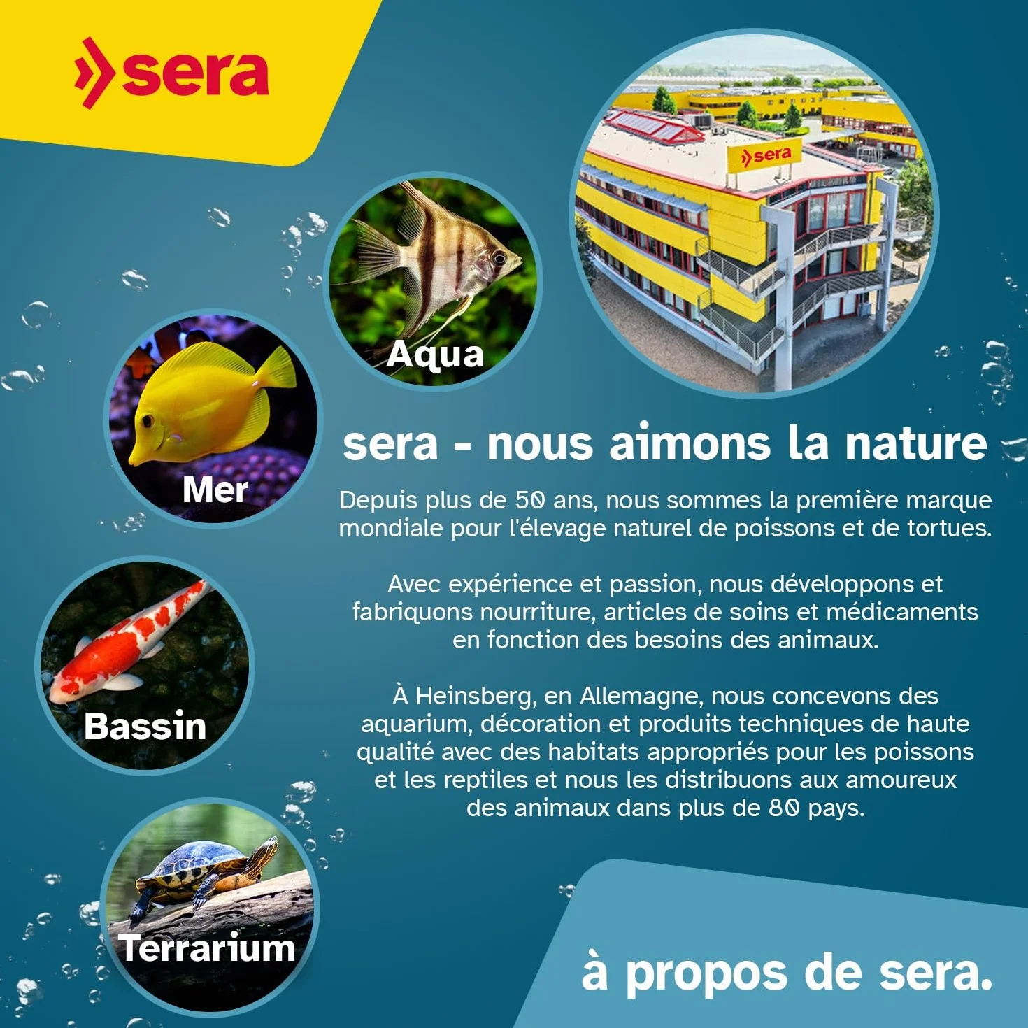 sera Phosphate Test 15ml |Mesure du Phosphate pour Prévenir la Prolifération d’Algues et Maintenir l’Équilibre de l’Eau | Kit avec Éprouvette, Seringue et Cuillère Doseuse | pour Aquariums et Bassins
