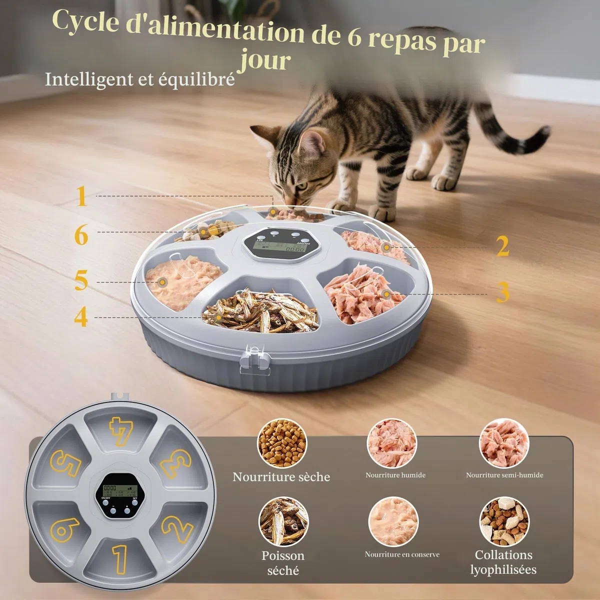 Zyncove Distributeur Automatique de Nourriture Humide pour Chat avec Refroidissement : Distributeur Automatique Humide pour Chats, Alimentation Automatique pour Chats à Piles – 6 Repas pour Animaux