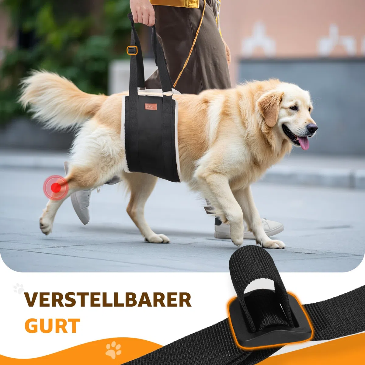 Aide au transport réglable pour chien - Sangle de transport portable pour la rééducation des chiens de taille moyenne et grande - Aide à la marche avec poignées comme soutien de sécurité pour chiens