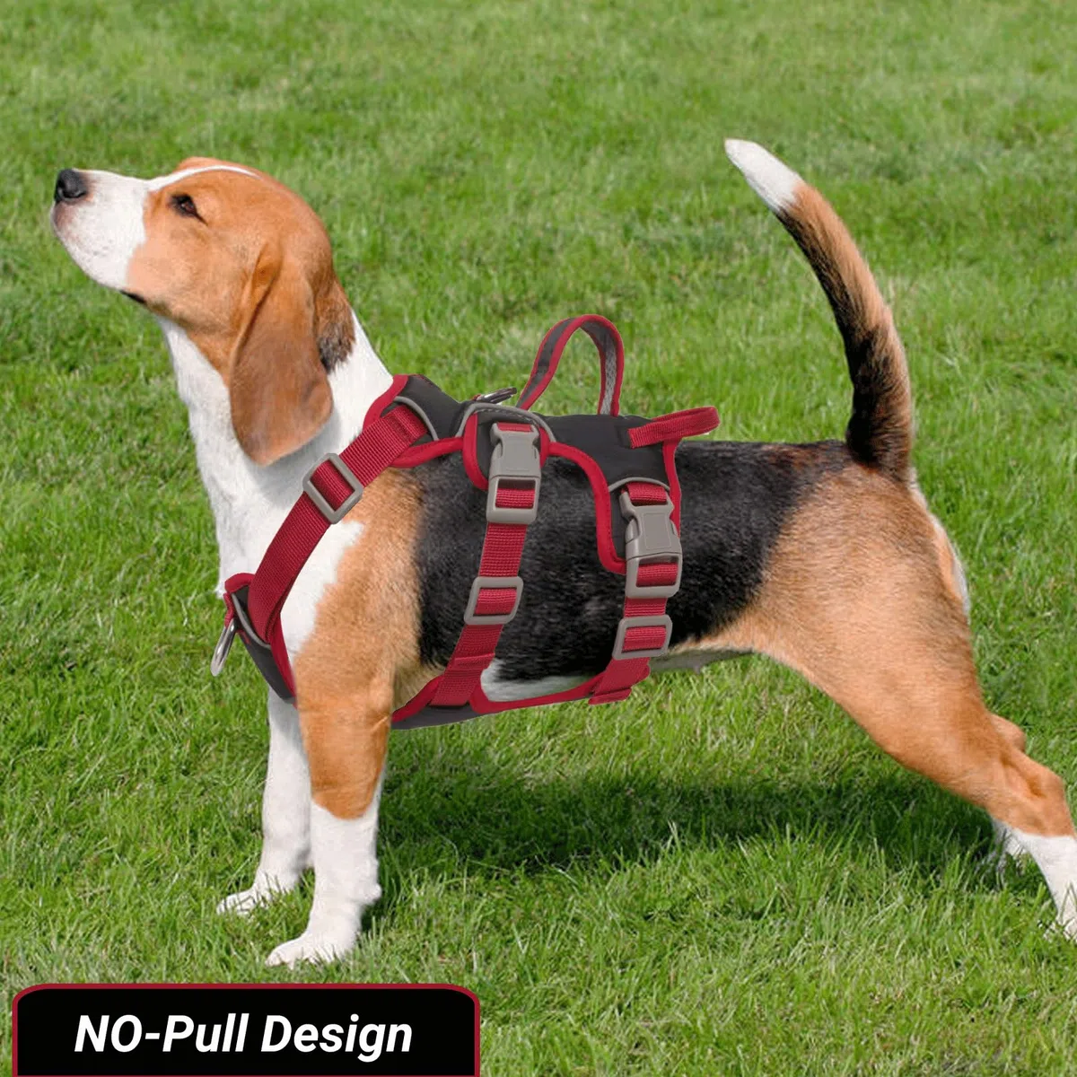 Harnais Anti Traction pour Chien - Arnet Réfléchissant Reglable Harnet en Y Harnais Canicross Chien pour Chiot Petit et Moyen Chiens, Noir + Anneau de Poitrine, L