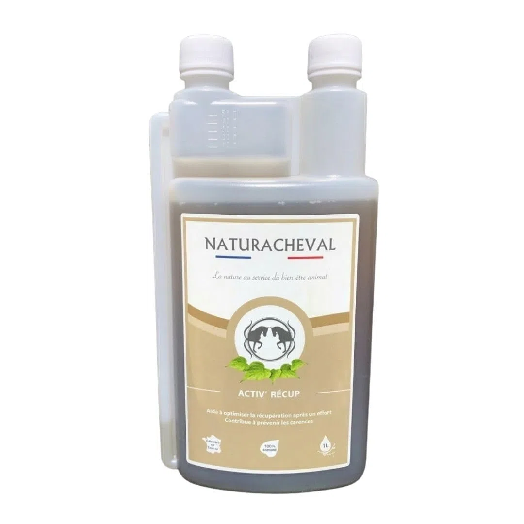 Complément récupération Cheval – Reminéralisant & électrolytes – Minéraux & Oligo-éléments – Après Effort & Chaleur