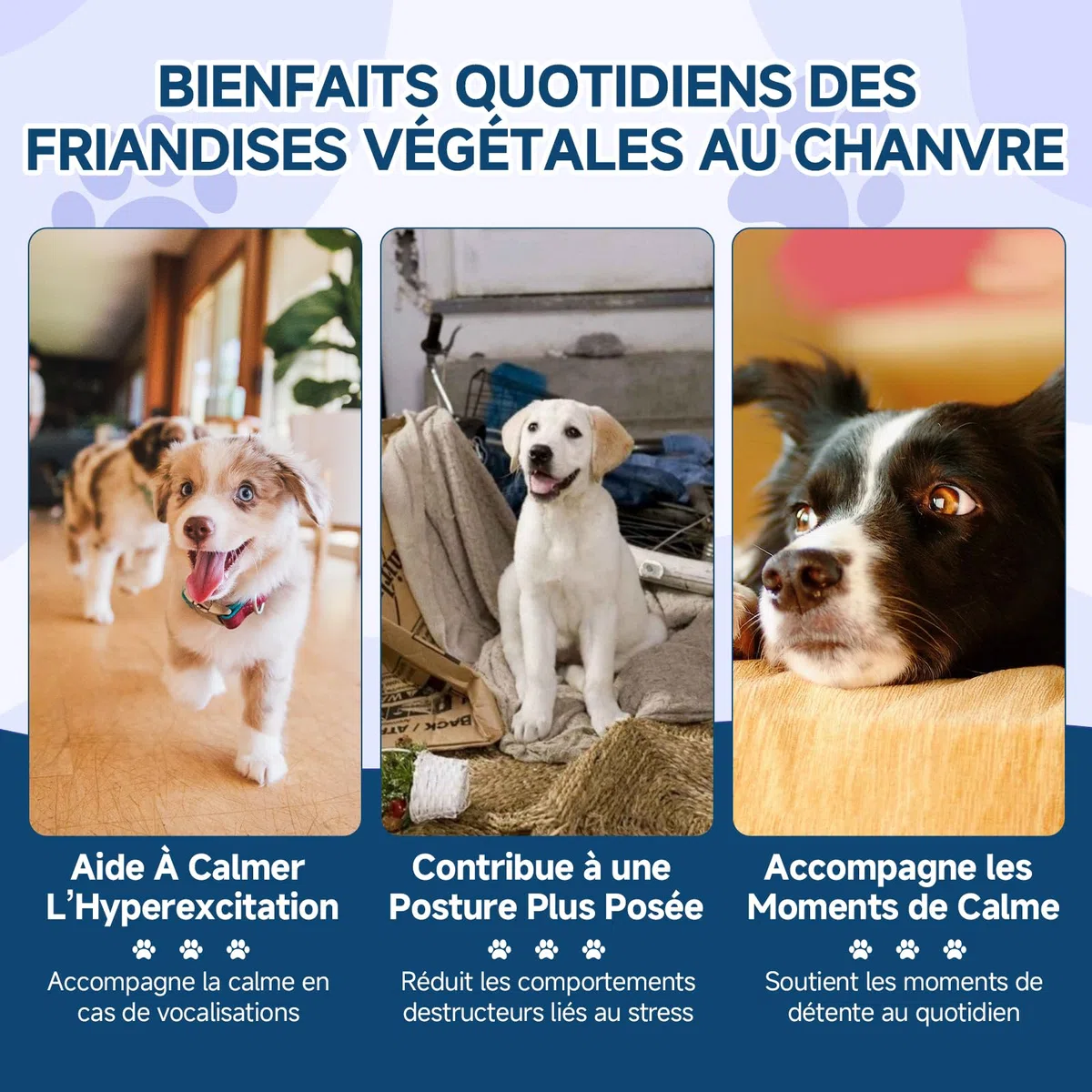 Woyamay Calmantes pour Chien, 200 Pièces Calmant à Mâcher pour Chiens, pour Accompagner Lors de Moments de Séparation, Voyage, Feux d’Artifice ou Orages, Saveur Poulet