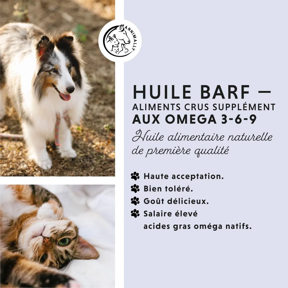 Huile BARF pour chiens 500ml Huile Barf avec Omega 3-6-9 à partir de: huile de saumon, huile de colza, huile de chanvre et huile de bourrache - huile alimentaire pour chien comme garniture alimentaire