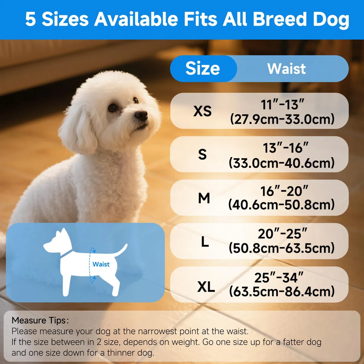Lot de 5 Couches réutilisables pour Chiens mâles, Bandes Abdominales lavables de qualité supérieure pour Chiens mâles, Bandes absorbantes Haute Performance pour Chiens incontinents (L)