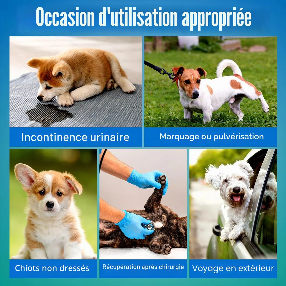 Pet Soft Couche Chien Male, Lot de 20 Couche Petit Chien, Ultra-Absorbantes Couches pour Chiens Incontinent avec Indicateur D'humidité et Anti-Fuite (S-20 Unité)