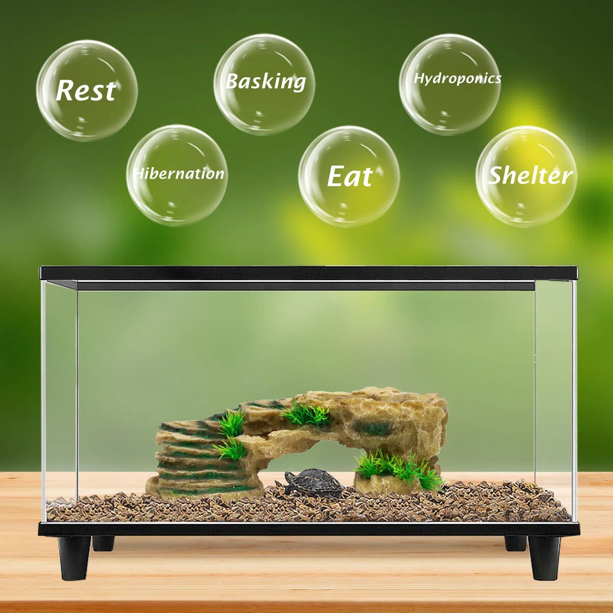 Plateforme de tortue en résine pour reptiles avec rampe d'escalade pour reptiles et grenouilles