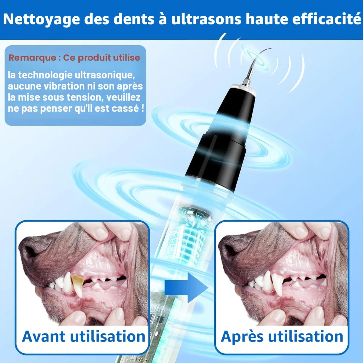 Ni-SHEN Kit d'enlèvement de plaque dentaire, de nettoyage des dents à ultrasons pour animaux domestiques, de tartre et de taches, convient pour chiens et chats (Noir)