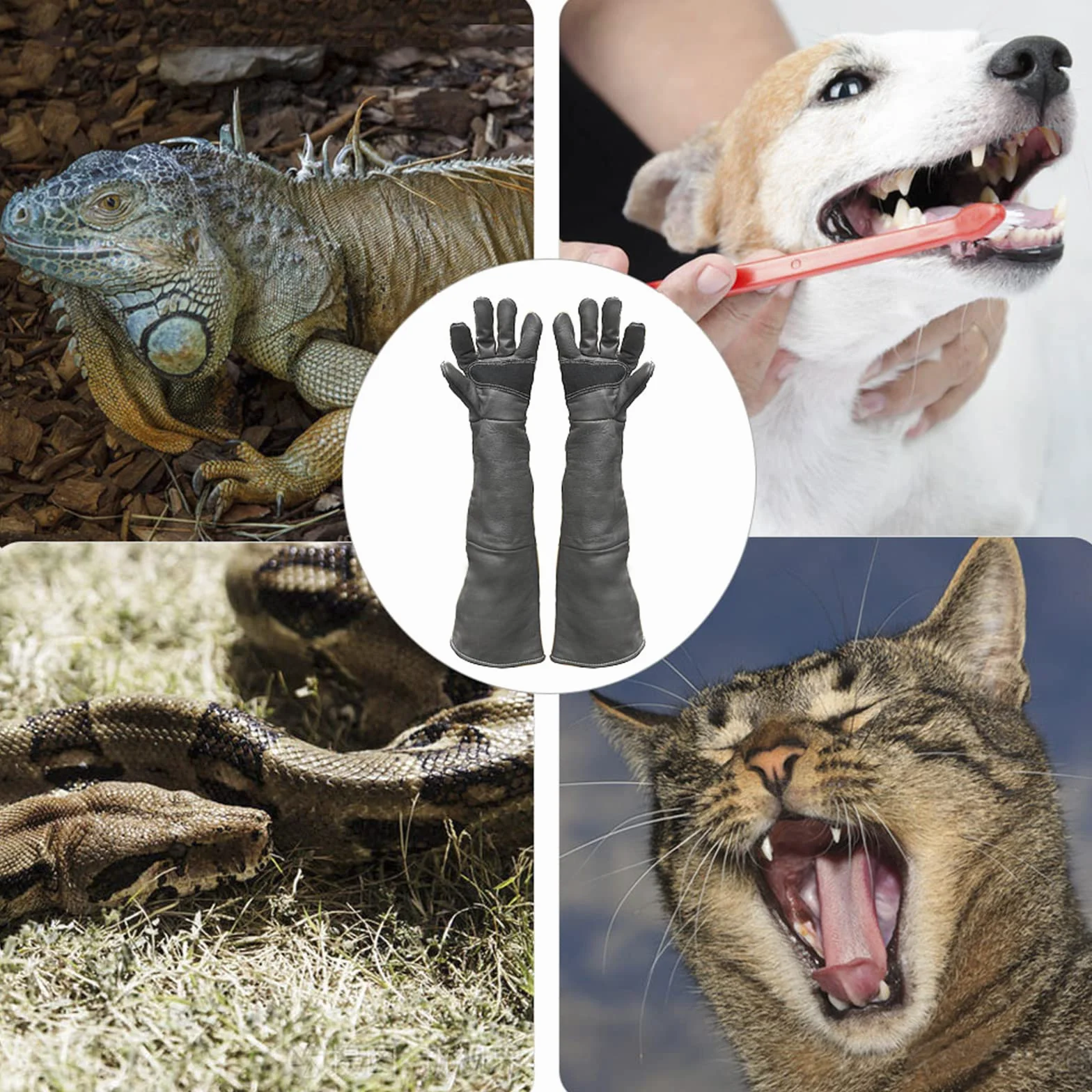 Anti-Morsure Gants de Manutention pour Animal, 60cm Gants de Travail en Cuir pour Le Soudage, Le Jardinage ou la Manipulation de Chat/Chien/Serpent/Lézard/Faucon/Reptile (Couleur Profonde)