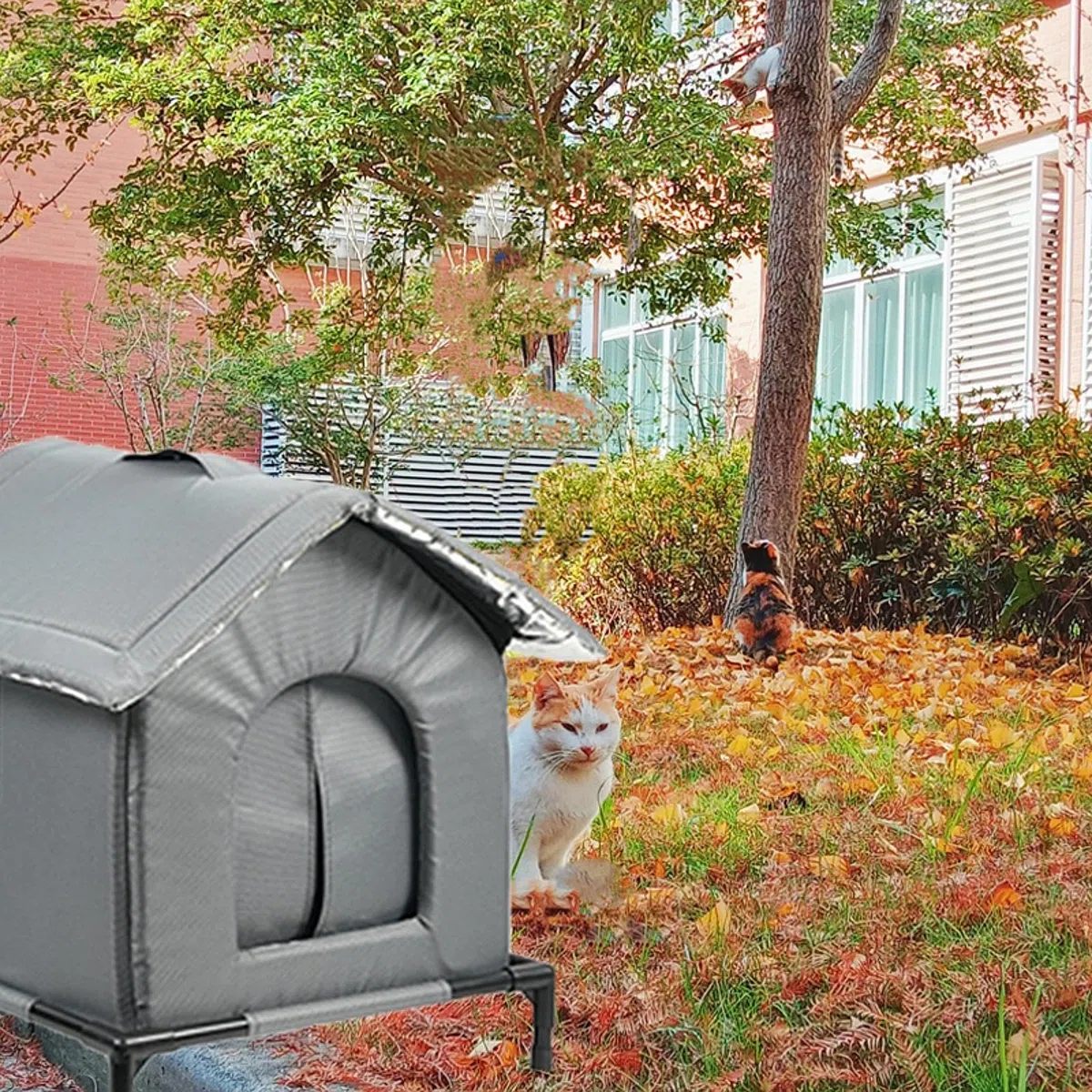 Gralara Niche pour Chat, Abri et Refuge Maisonnette d'Extérieur Chaude avec Coussin Doux et Support Surélevé, Niche pour Petits Animaux Extérieur Hiver, Adapté pour Chats, S