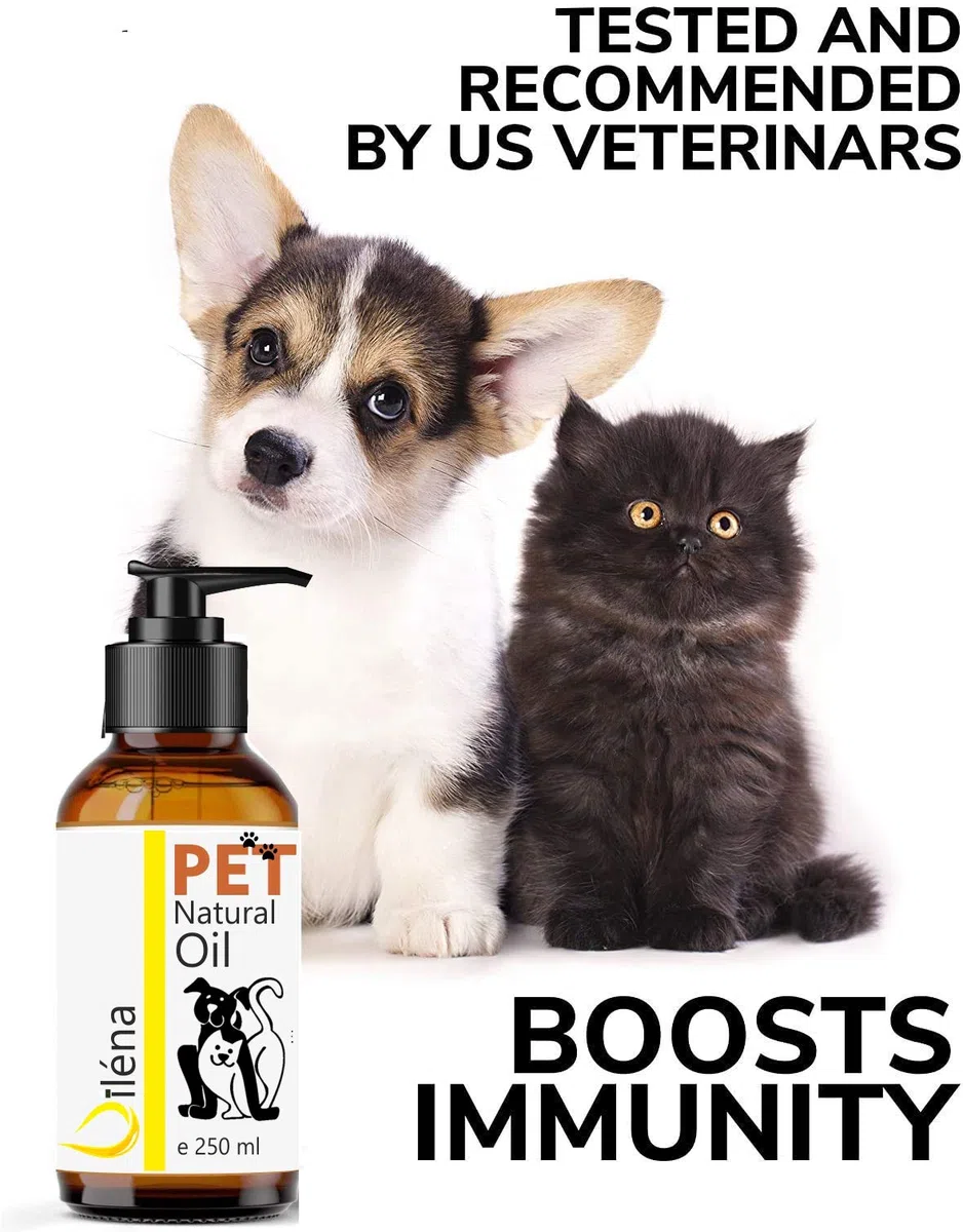 Huile de Saumon Premium pour Chiens & Chats | Oméga 3, 6, 9, Vitamine E | Boost Énergie, Vitalité | Renforce Immunité | Peau, Pelage Sains | 2000 ML