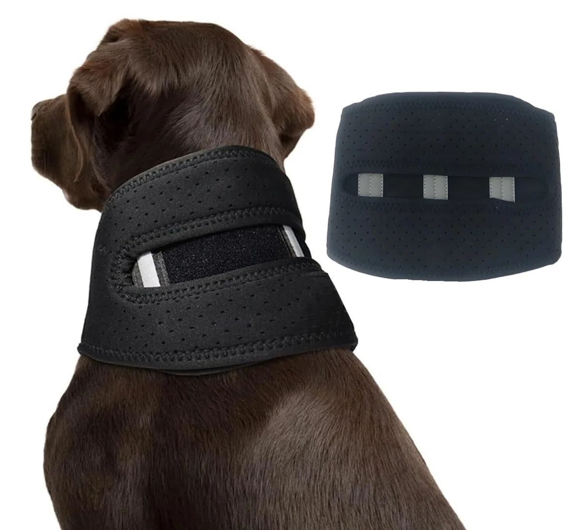 Cou pour Animaux de Compagnie Soutien Le Collier est utilisé pour soulager la Douleur chez Les Chiens,Chien Chat Anti Lechage Collier,Aide à la récupération des blessures au Cou(XL)