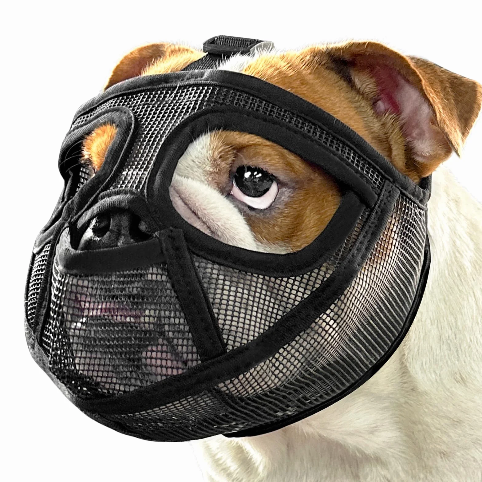 Mayerzon Muselière à museau Court pour Bouledogue français avec Pantalon Complet pour éviter de Manger des morsures, muselière en Maille Douce pour Chien Shih Tzu Carlin Bulldog Anglais pour Le