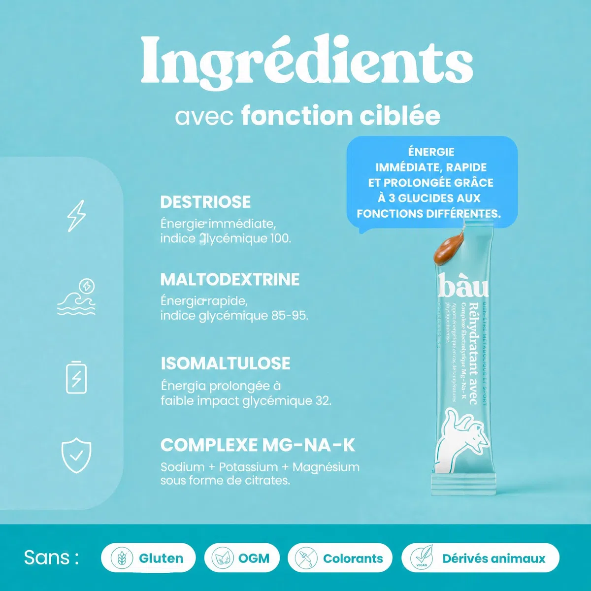 BAU Réhydratant Électrolytique pour Chiens Sportifs – Idéal par Temps Chaud – Gel Énergétique avec Magnésium, Sodium et Potassium – Soutien Pendant l’Activité – Sticks Unidose