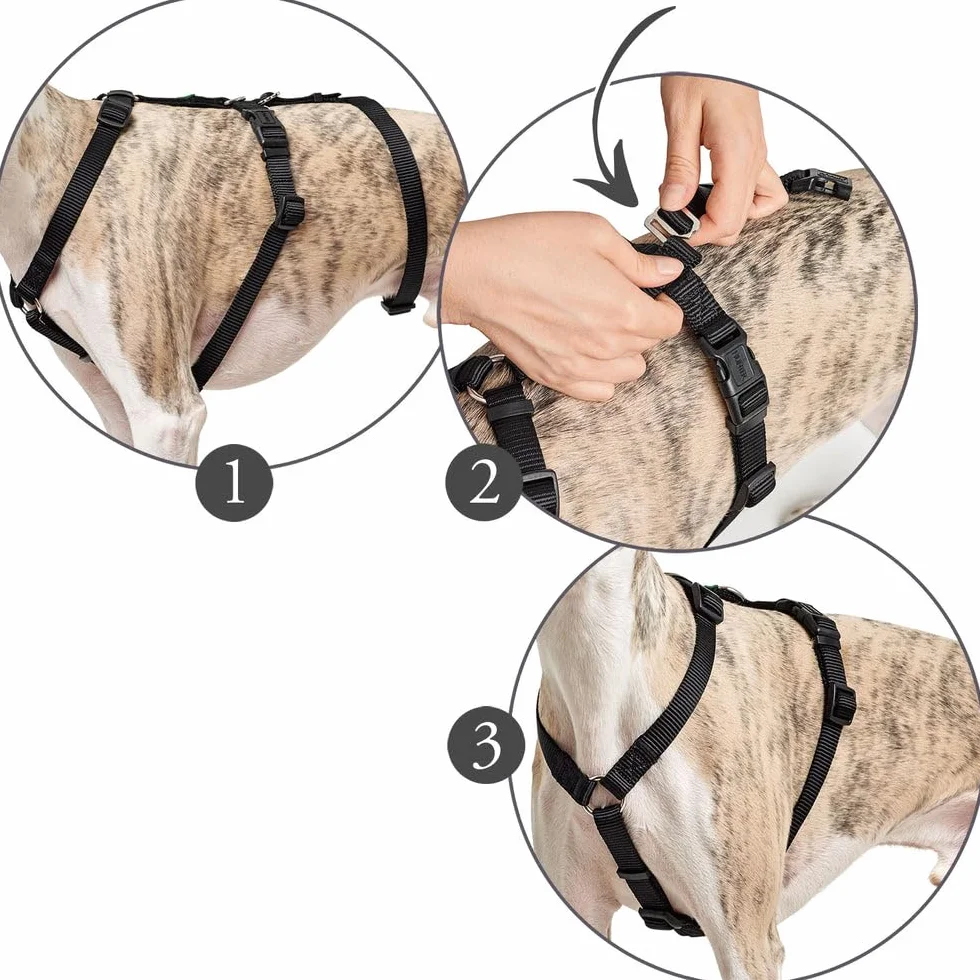 Hunter modèle Vario Rapid Harnais de sécurité Anti-Panique pour Chiens anxieux. en Nylon Souple et résistant aux déchirures
