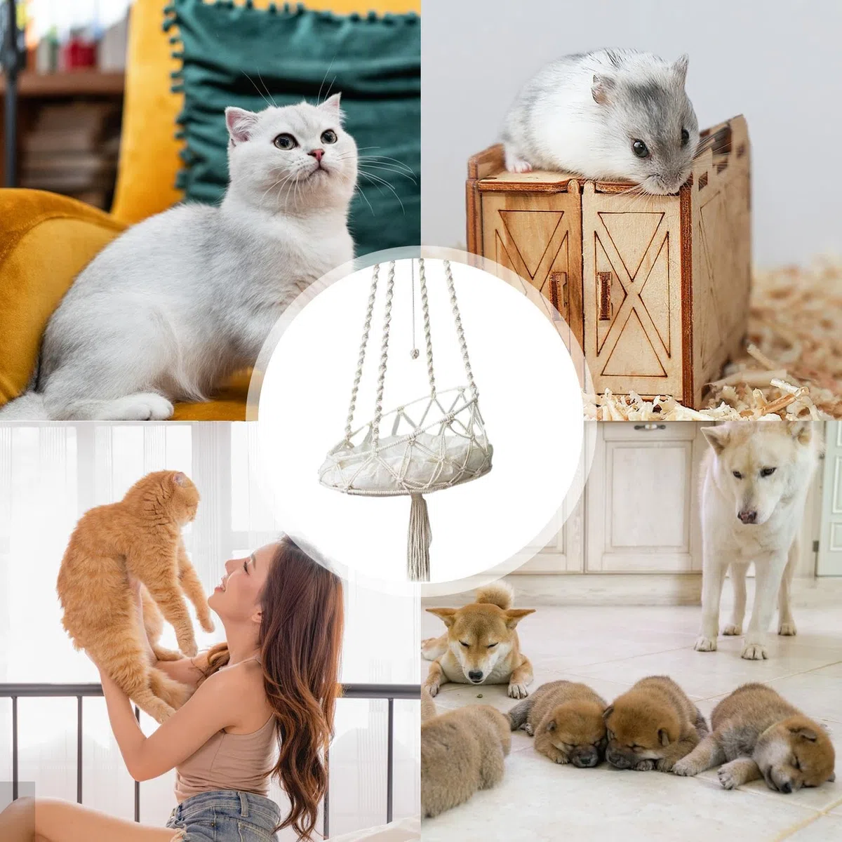 Hamac en Macramé pour Chat - Lit Suspendu Balançoire avec Crochet pour Détente - Fixation Murale