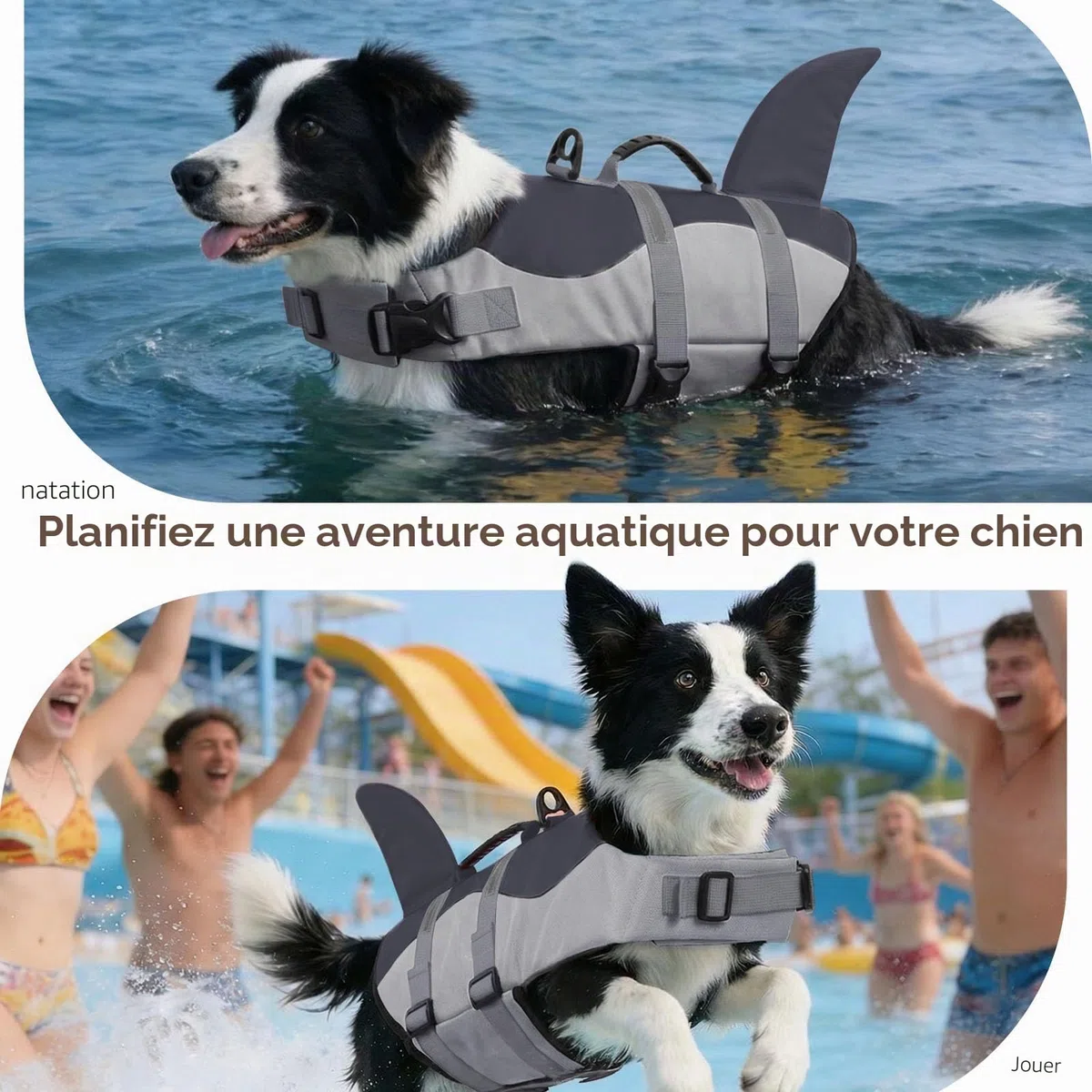 CITÉTOILE Gilet de Sauvetage pour Chien, Gilet de Sauvetage pour Chien avec poignée et réfléchissant, avec Une Bonne flottabilité, léger et sûr pour Les Sports Nautiques, Gris, XS