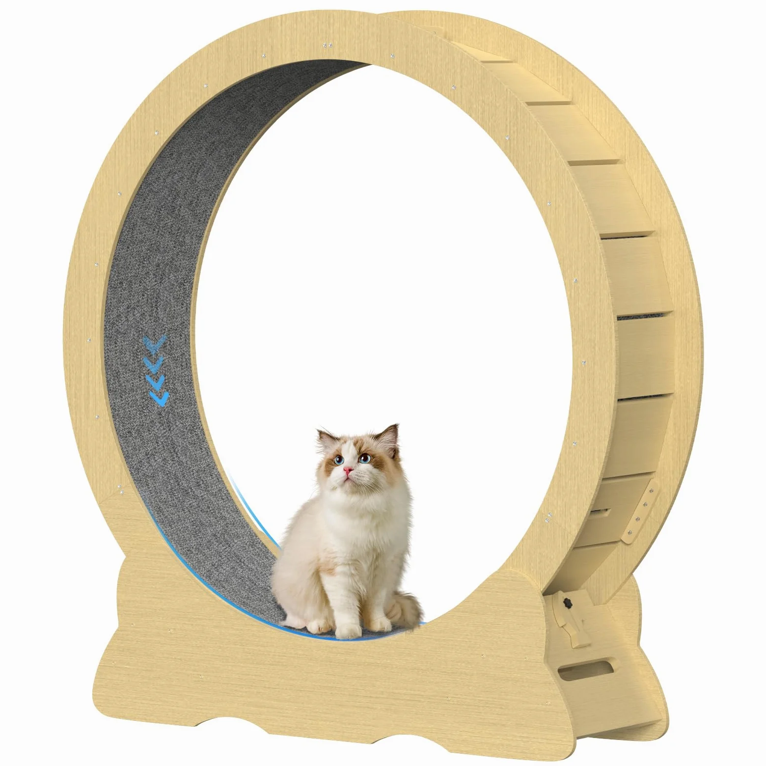 Roue d'exercice pour chat - Diamètre intérieur 120 cm - Jouet super silencieux - Pour chats de toutes tailles - Couleur bois - Taille XXL