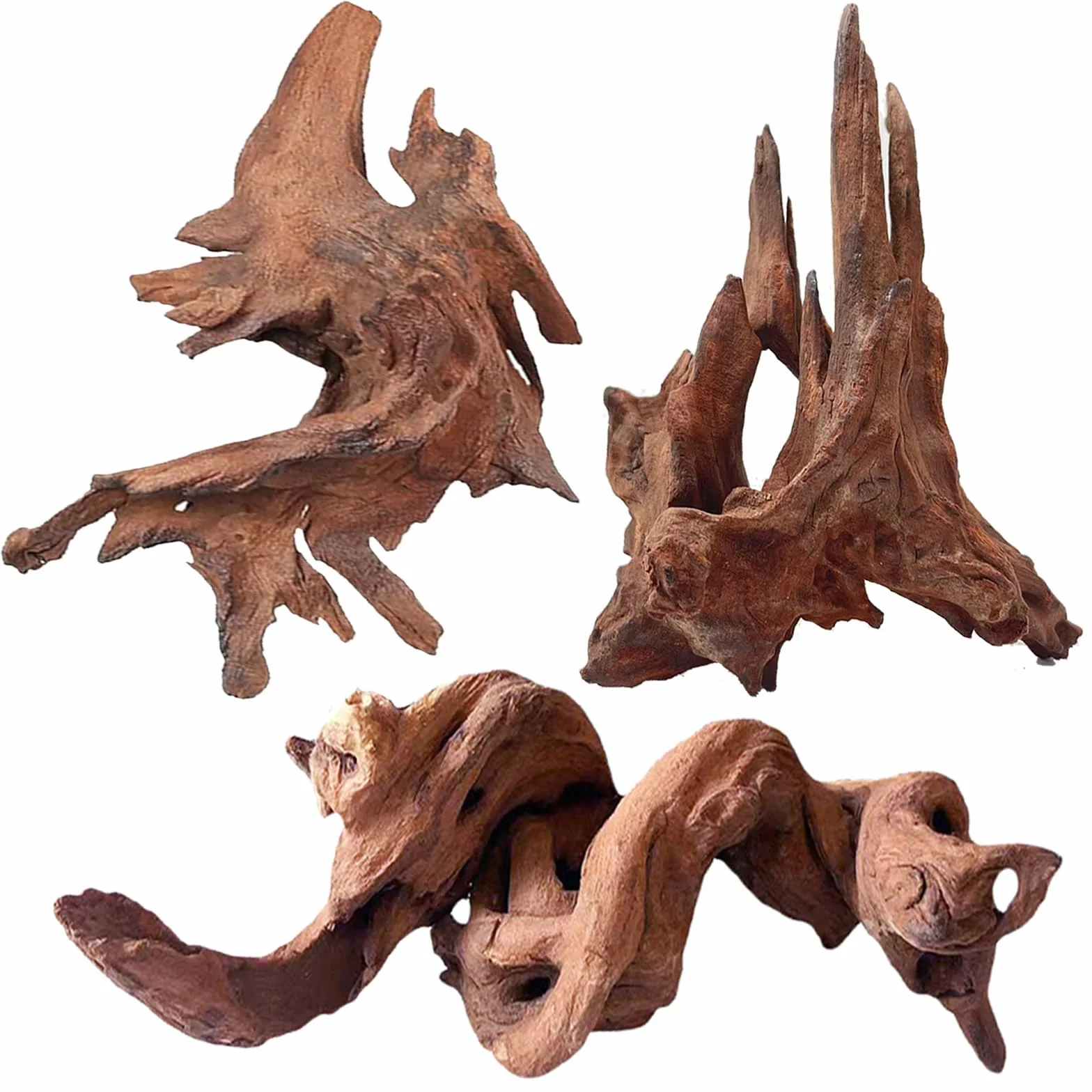 Jorewood Bois flotté Naturel pour Aquariums et terrariums de Reptiles – Décorations sûres pour Aquarium, Branches torsadées Uniques de 17,8 à 27,9 cm, tanin Bas, Facile à couler