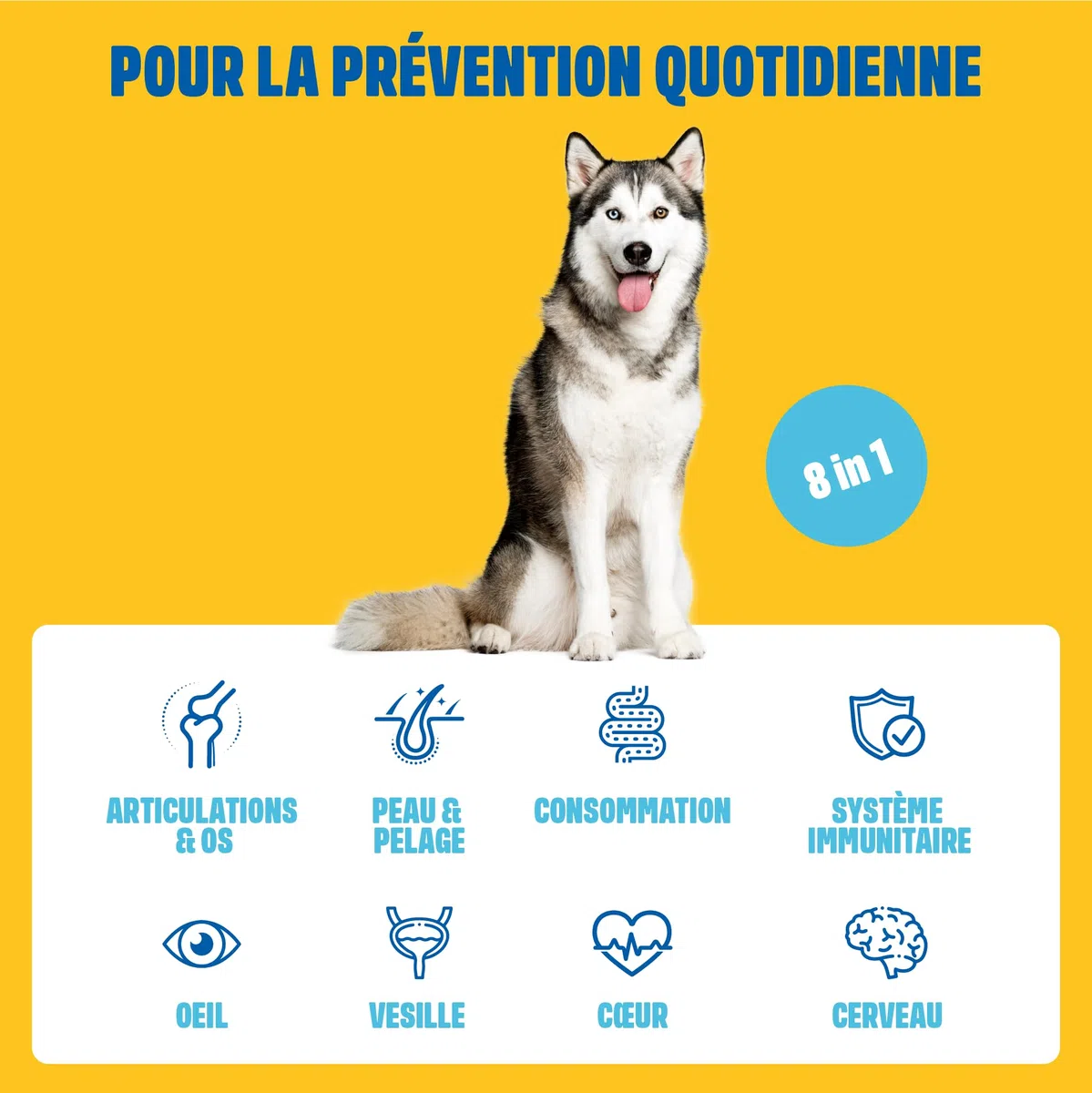ivvi Multivitamines - Complément Alimentaire pour Chien - Soins Complets pour Une Vie de Chien Heureuse - 60 Délicieuses Friandises au Poulet (270g)
