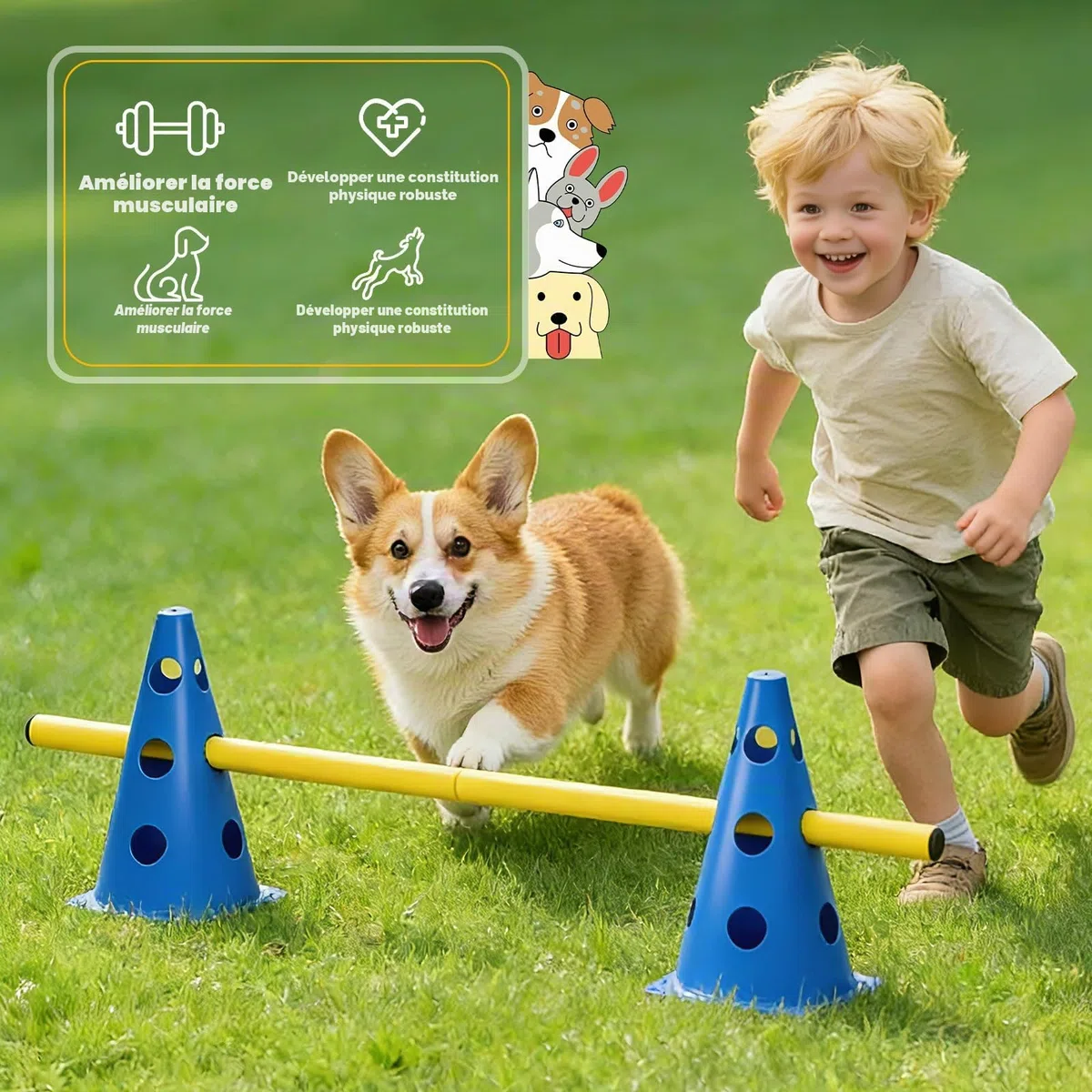 Cavaletti Lot de 6 accessoires d'agilité pour chien, obstacles, obstacles, loisirs, saut