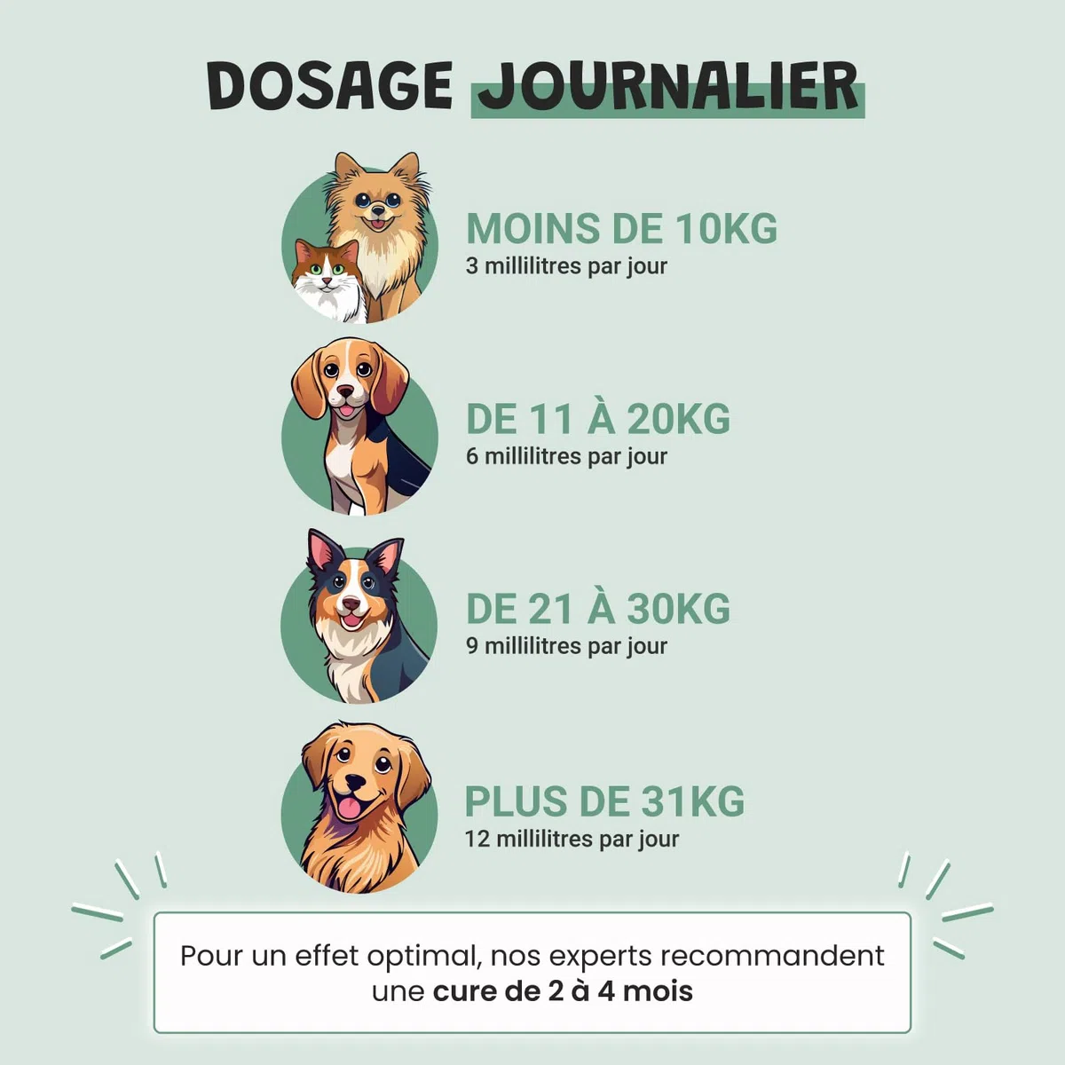 Museau & Co Anti-Stress Chien Chat - Complément Calmant Anxiété & Feux d'artifice - Valériane Passiflore Griffonia Houblon - Liquide Pipette - Formulé par des Vétérinaires - Fabriqué en France