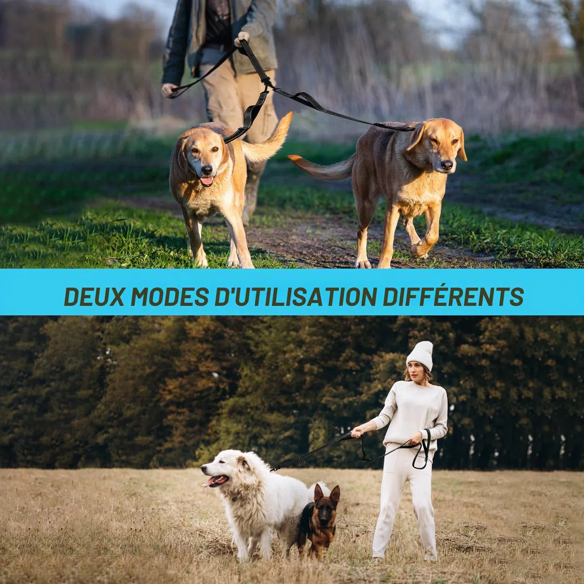 PetBonus Laisse Double pour Chien, Double Laisse Anti-Enchevêtrement Réfléchissante, avec 4 Poignées Rembourrées Confortables pour Chiens de Taille Moyenne ou Grande (Noir)