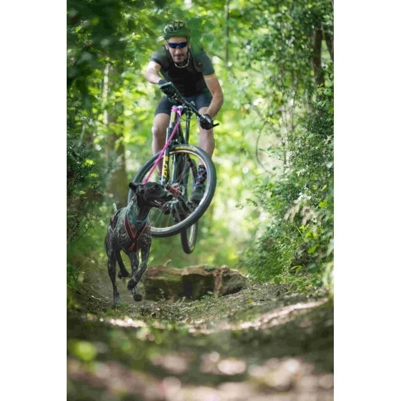 Inlandsis Laisse Extensible Cani VTT (Chien + de 15kg) // 1.45m à 2.5m Bikejor Leash // Cani VTT, Mains Libres, Promenade, Randonnée