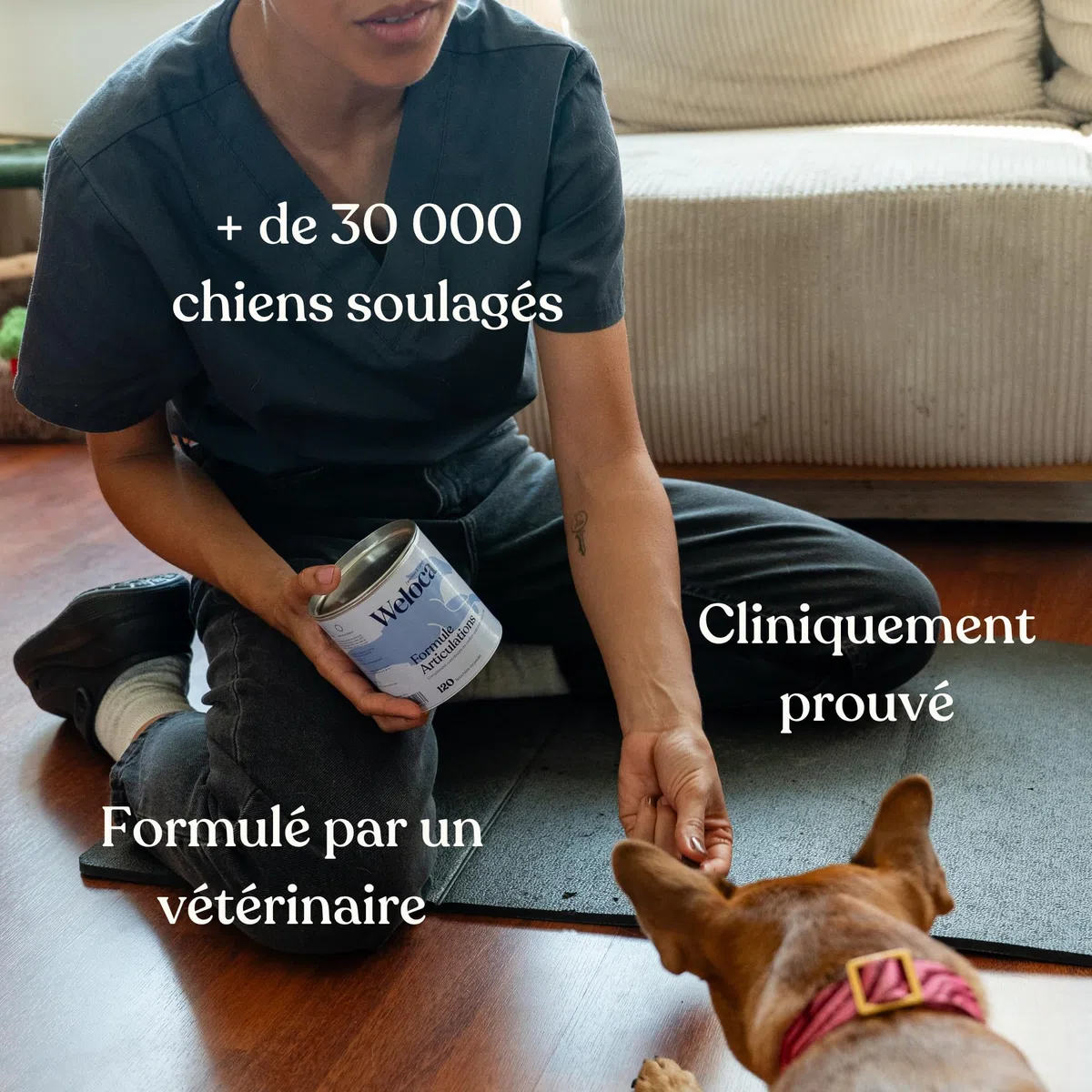 Arthrose Chien | 120 compléments Premium | 11 Actifs puissants hautement dosés (Moule Verte, harpagophytum, chondroïne, Glucosamine) | Anti-arthrose, mobilité retrouvée | Formule vétérinaire