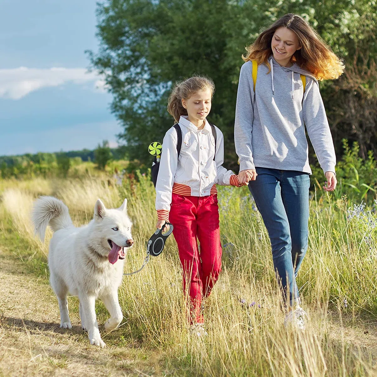 Laisse rétractable en Nylon avec chaîne Anti-Mastication, très résistante pour Chiens de Taille Moyenne et Grande 8 m, Gris