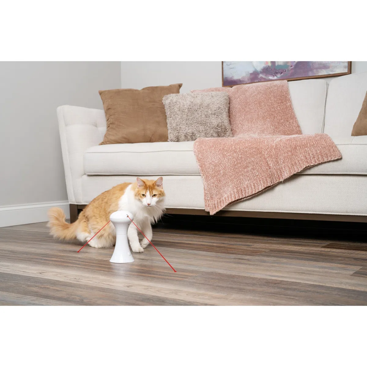 PetSafe Jouet Multi-Lumières pour Chats - 0,34 kg