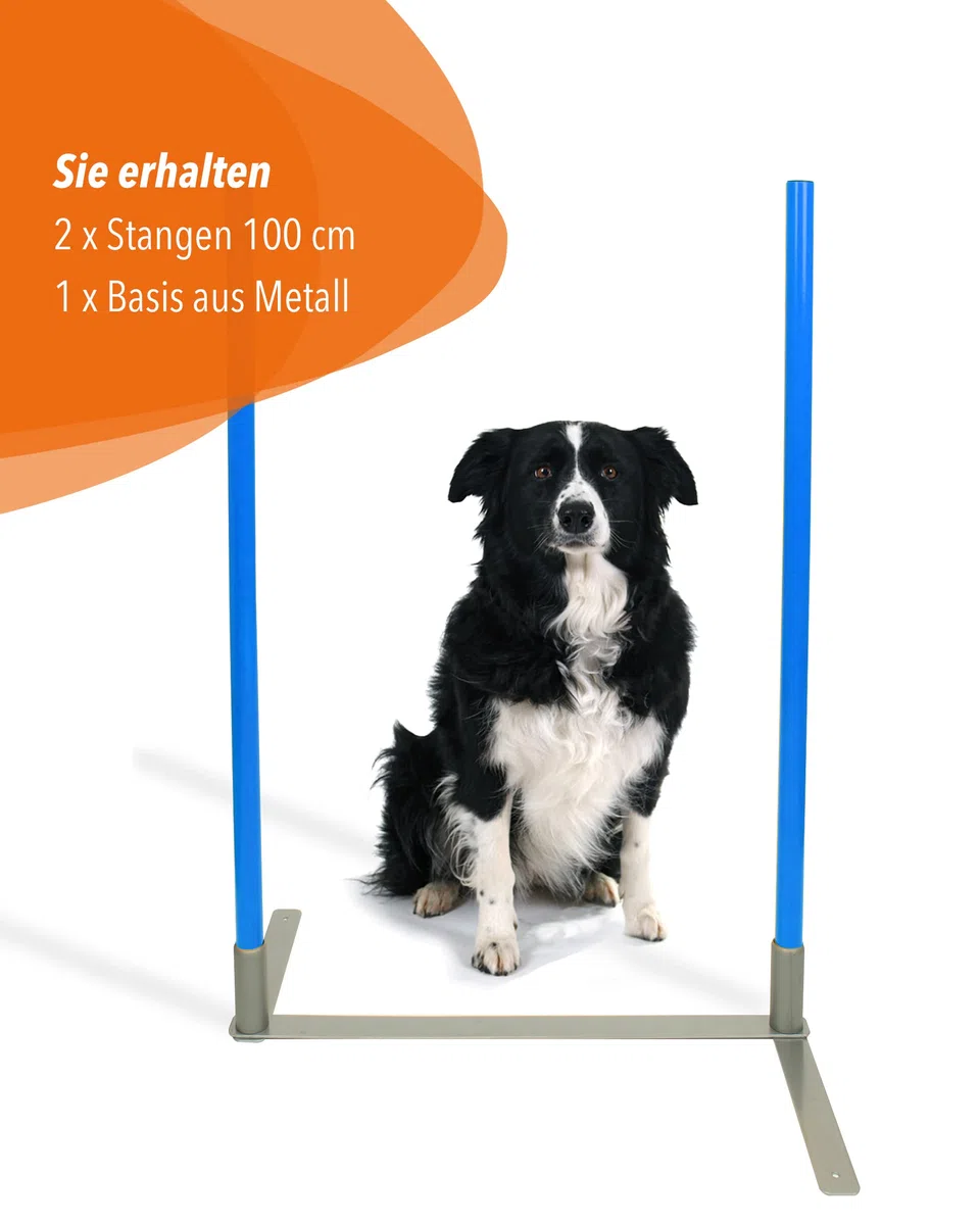 2by2 Weave Poles - Lot de 2 barres de slalom d'agilité avec base en métal - Pour l'entraînement et la construction de parcours - Extensible et mobile
