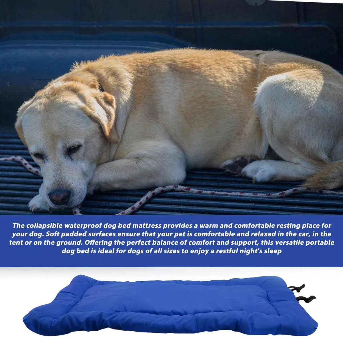 Matelas Portable pour Chien: 90 x 60 cm Lit pour Chien Imperméable et Pliable, Confort et Douceur Lit de Voyage pour Chien pour Voyages en Plein Air, Canapé, Sol, Voiture, Herbe (Bleu)