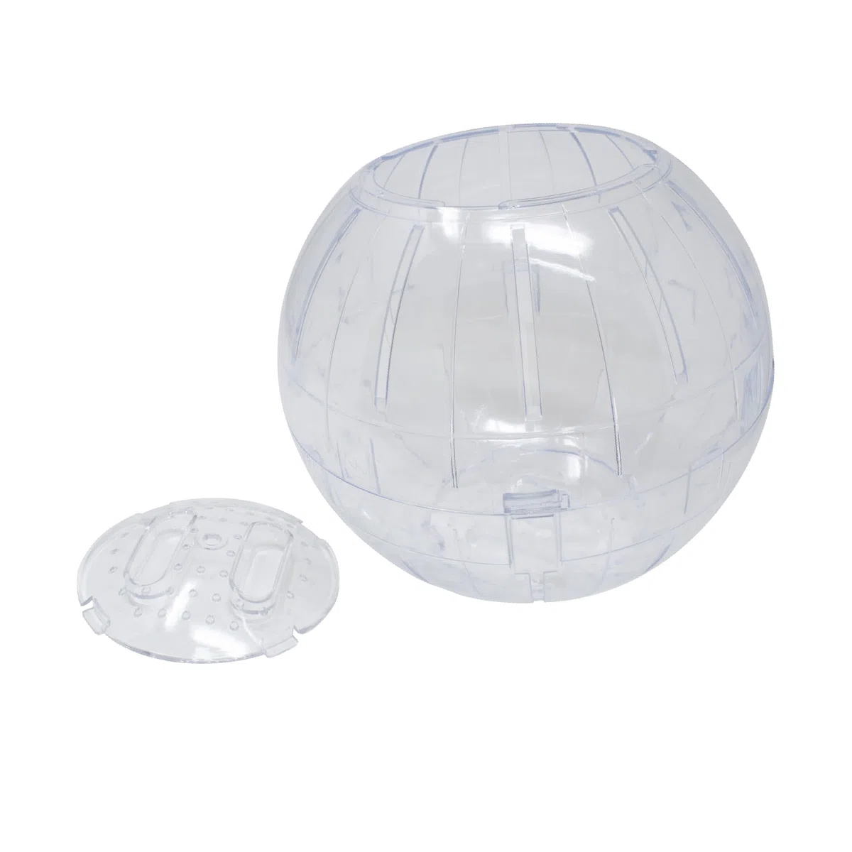 ICA GD10025 Boule d'exercice pour rongeurs 25 cm Couleurs Assortis