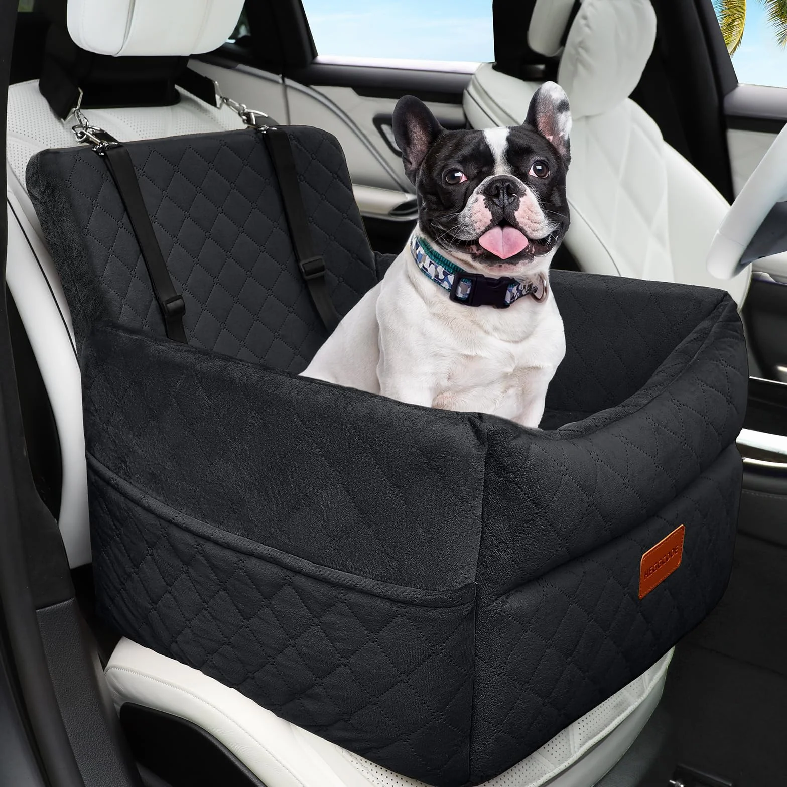 HEGGCOOE Siège auto pour petit chien en mousse à mémoire de forme avec coussin épais pour chiens de moins de 16 kg, amovible, lavable
