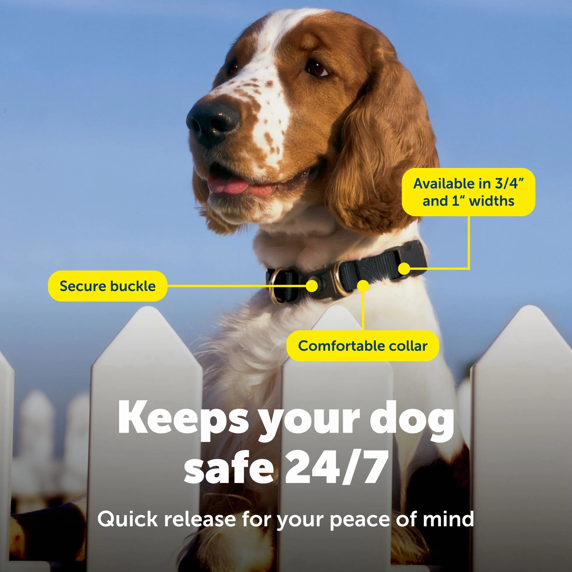 PetSafe KeepSafe Collier avec système Anti-étranglement pour Chien