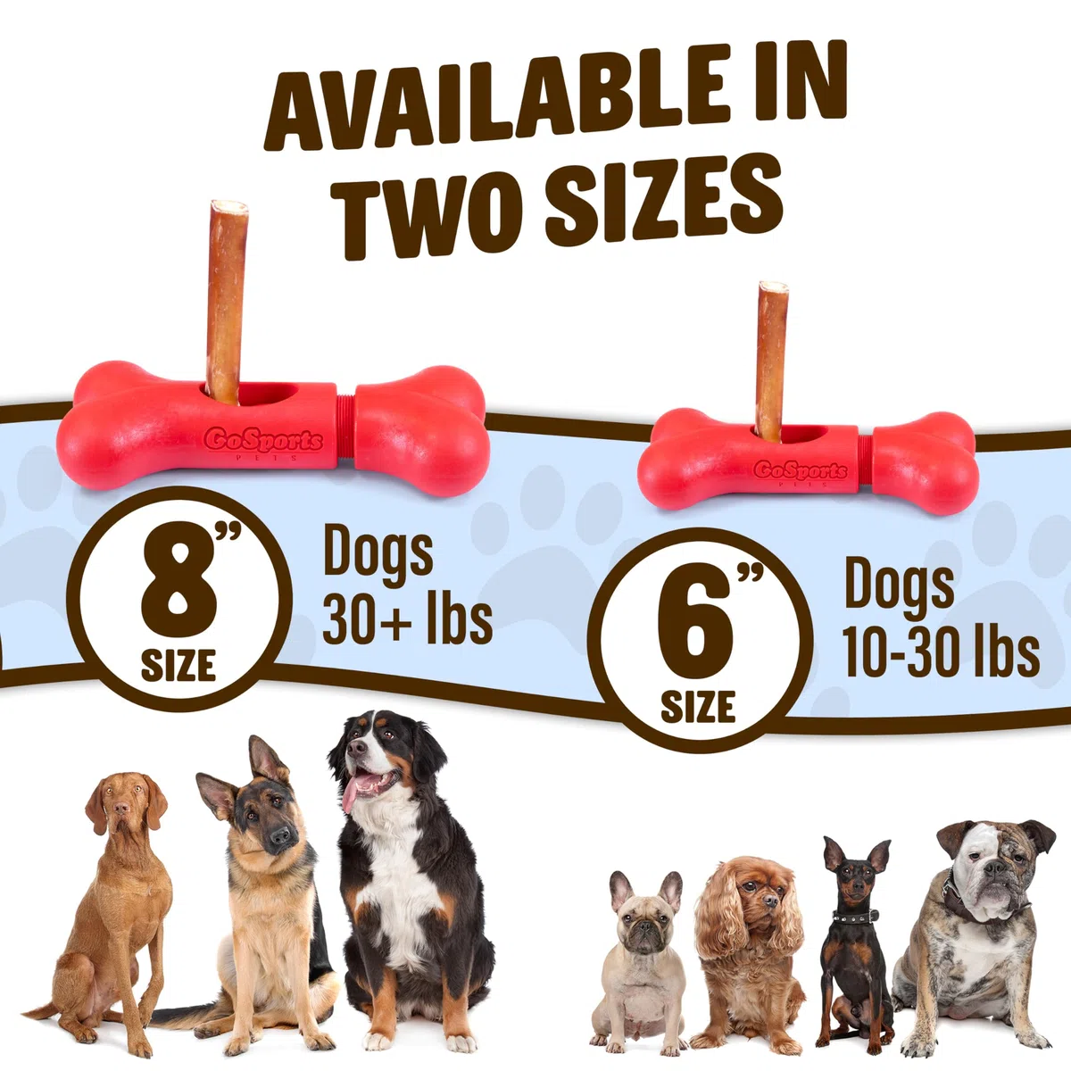 GoSports Chew Champ Support de bâton d'intimidation pour Chiens – Maintient solidement Les bâtons d'intimidation pour éviter l'étouffement – Petits Chiens de 4,5 à 13,6 kg