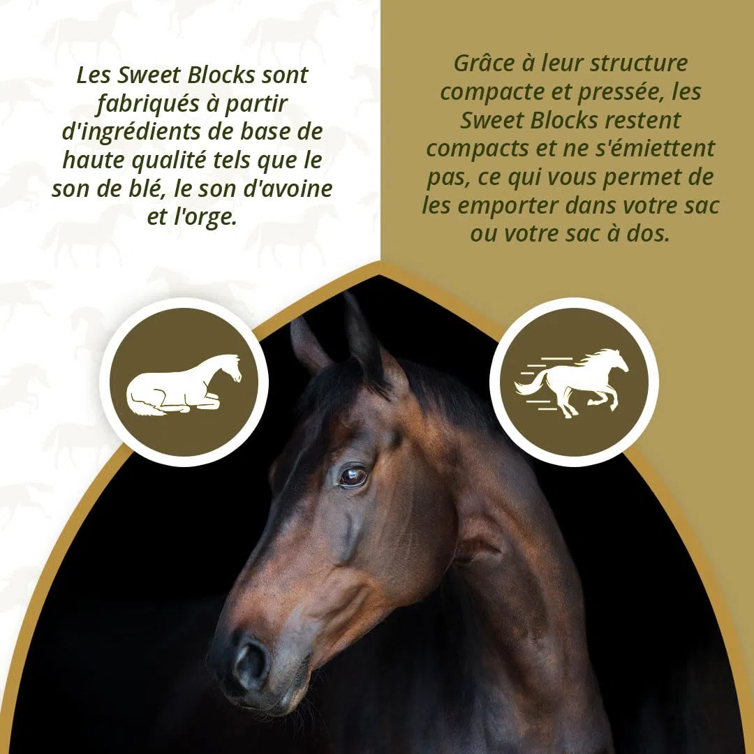 Excellent Horse Sweet Eucalypta Blocks – Bonbons pour chevaux – Sans sucre – Saveur eucalyptus – Morceaux – Récompense – 1 kg