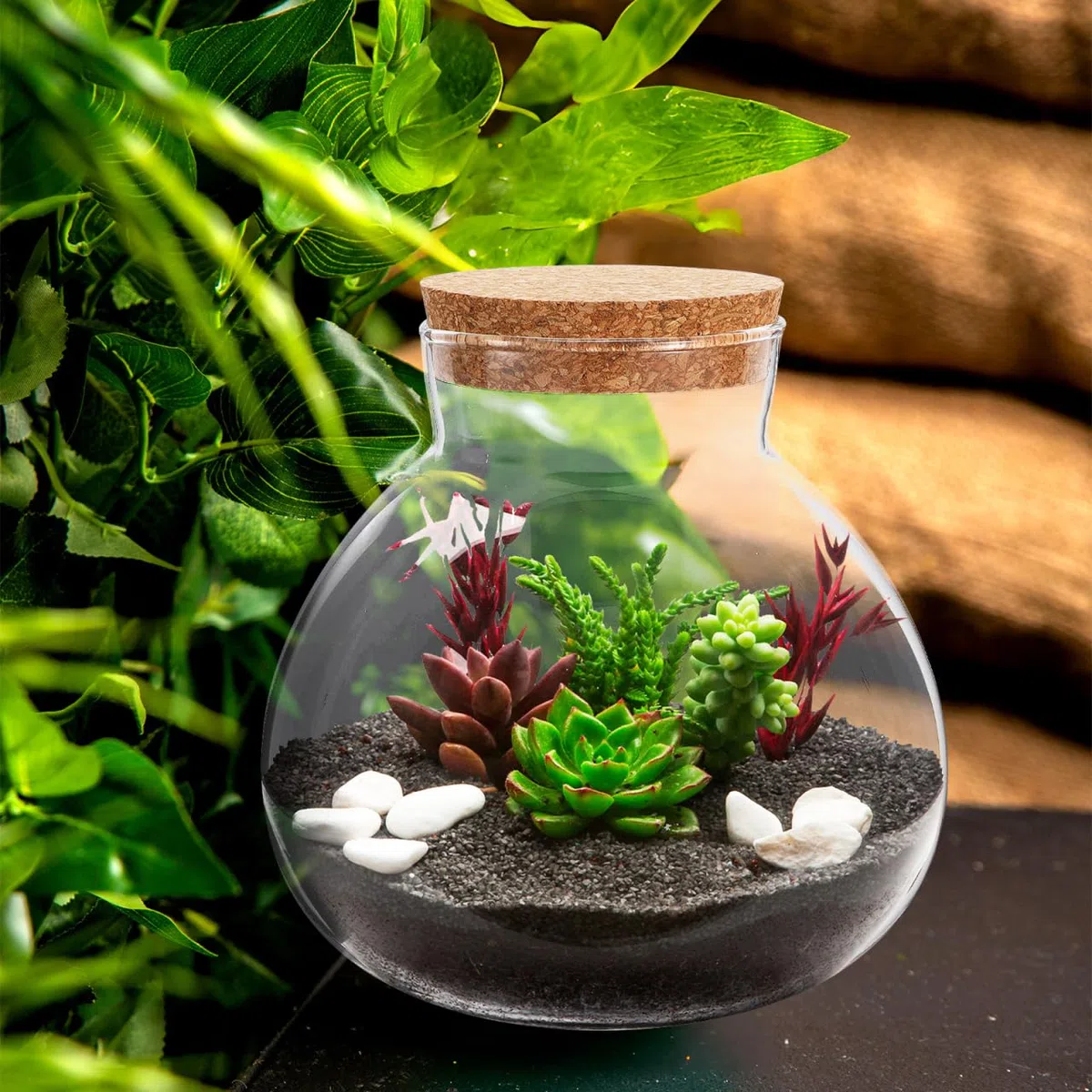 Happyyami Pot rond en verre transparent avec bouchon en liège pour terrarium à faire soi-même pour fougère et Fittonia Créez votre centre de table de jardin intérieur 15 cm
