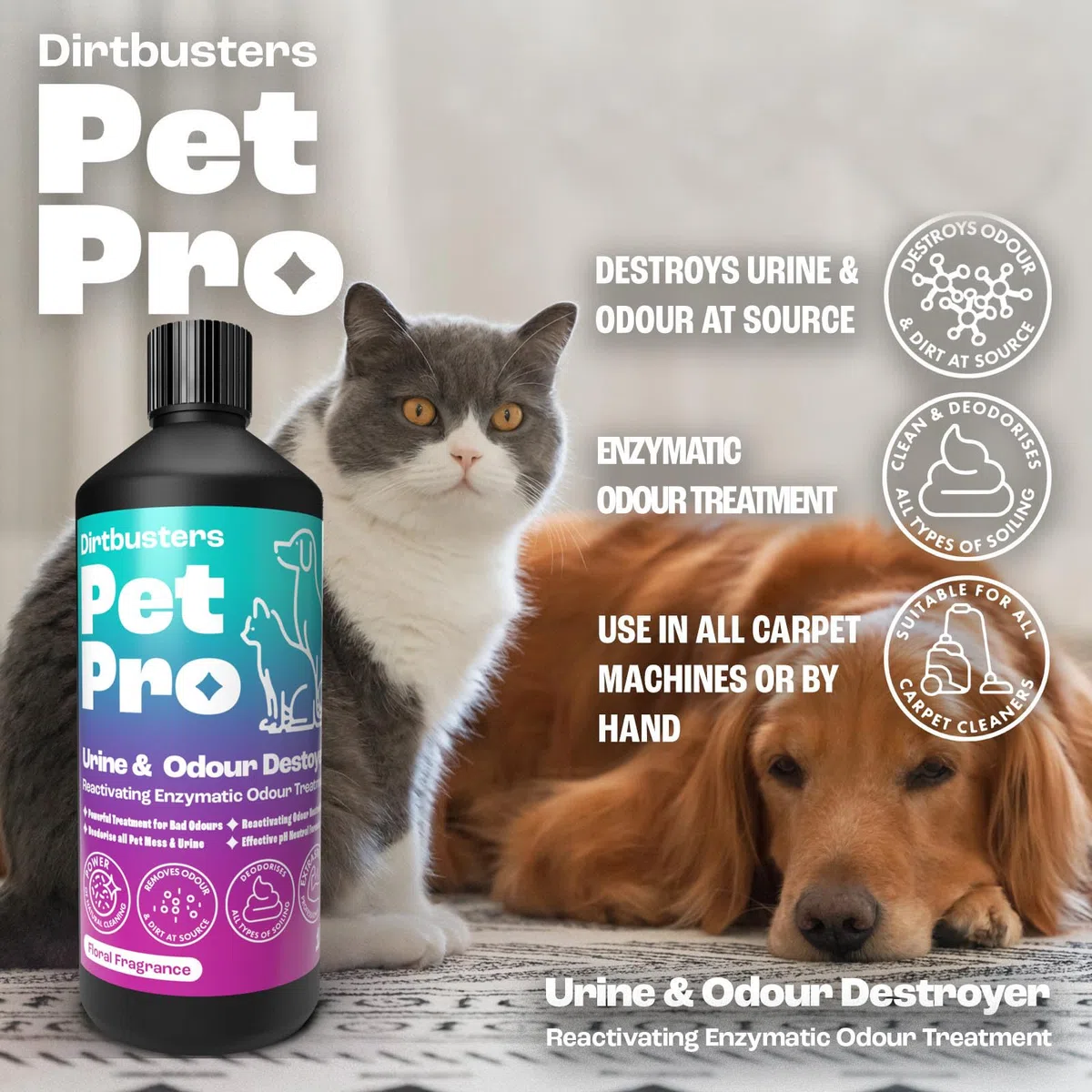 Dirtbusters Pet Pro Nettoyant enzymatique pour tapis et tissus d'ameublement Neautralise et élimine les odeurs d'animaux domestiques, chiens et chats à la source, avec traitement enzymatique