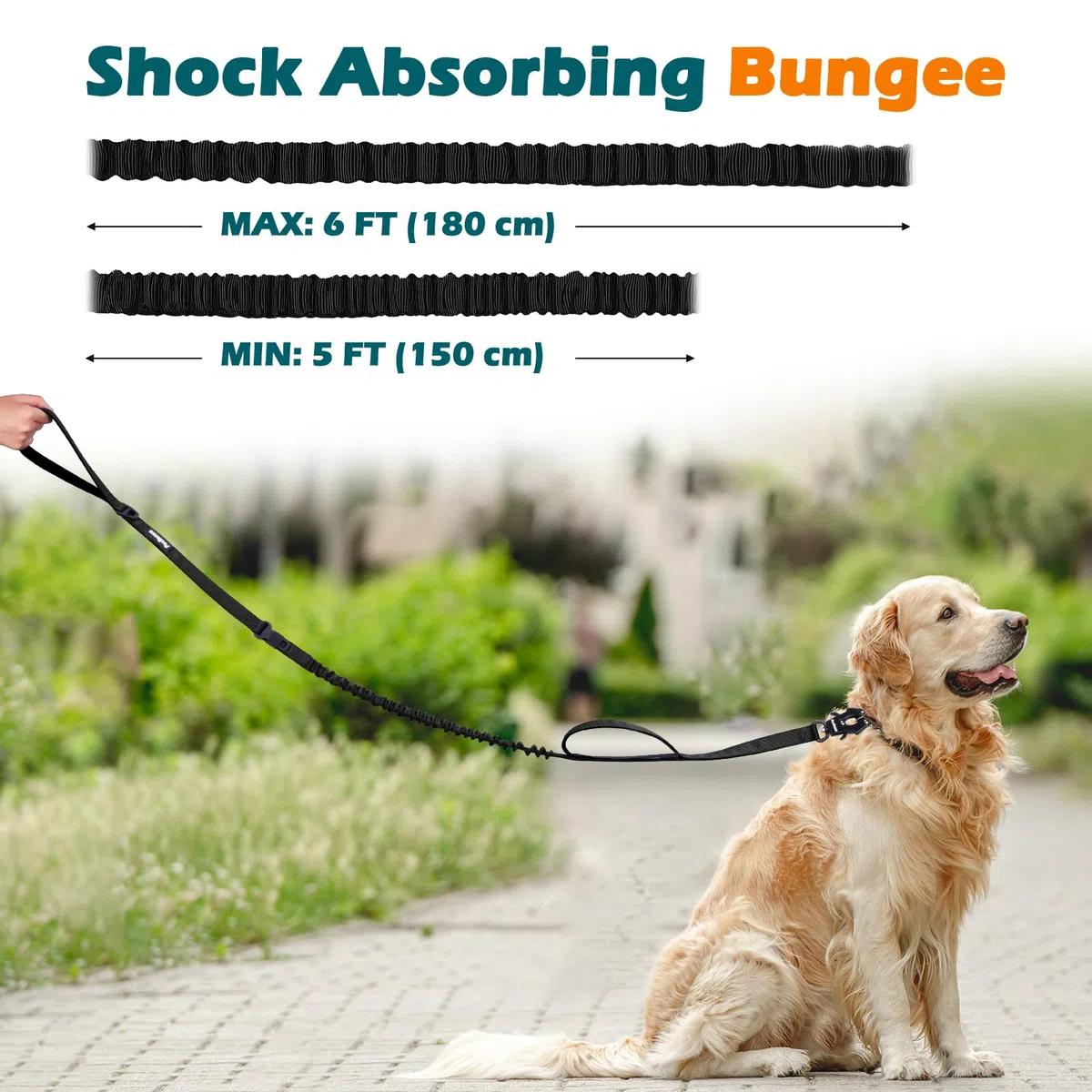 PetBonus Laisse Tactique 1,5m, Bungee Laisse de Chien avec 2 Poignées Rembourrées, Ceinture Sécurité Voiture, Anti Tirage Chiens Moyennes et Grandes Tailles (Noir)