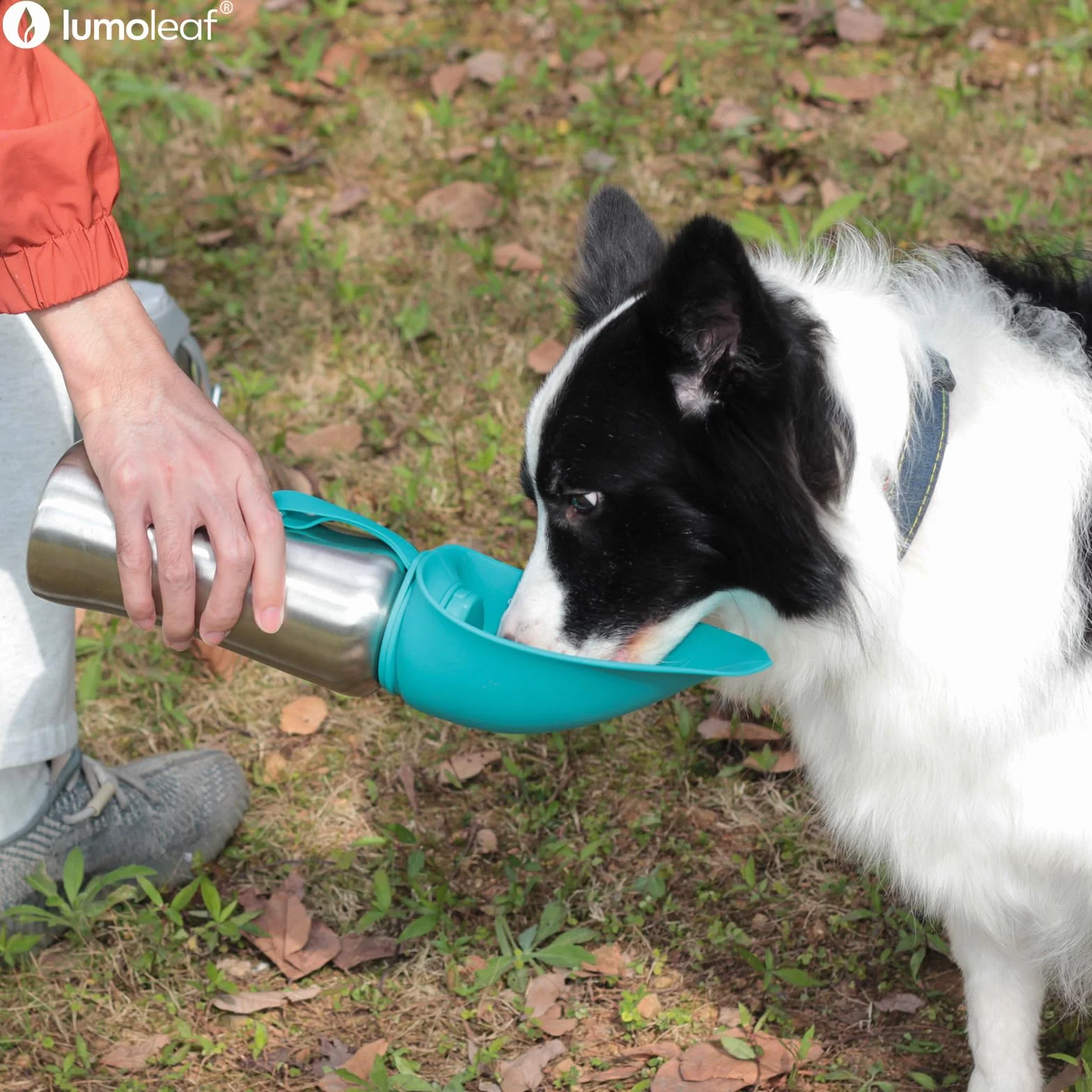 LumoLeaf Bouteilles d'eau Portables pour Chien de 800 ML, Distributeur d'eau de Voyage en Acier Inoxydable pour la Marche, la randonnée et l'extérieur, Bol d'eau Portable pour Grands (Blau/800ml)