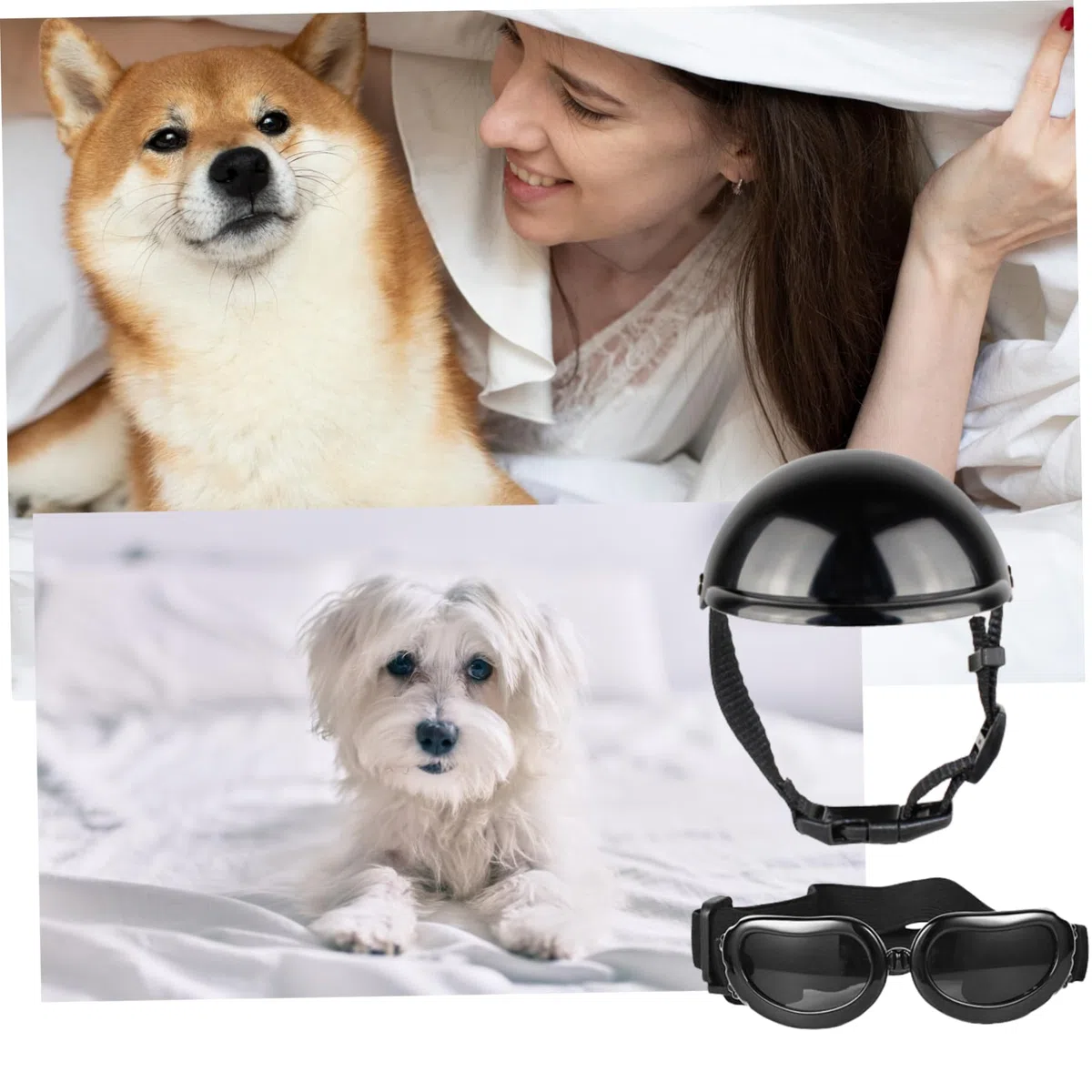 Casque pour Chien, Casque et Lunettes pour Chien 2 pièces/Ensemble dôme de mentonnière réglable avec Trou d'oreille Coupe-Vent Lunettes décoratives élégantes Fournitures pour Animaux de Compagnie