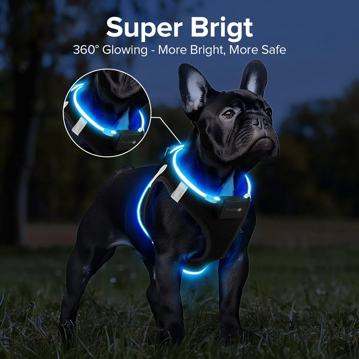 PcEoTllar Harnais Lumineux Chien Rechargeable LED - 7 Couleurs, 9 Modes pour Chiot, Petit et Moyen Chien - Clignotant, Réfléchissant, Confortable - Noir (S)